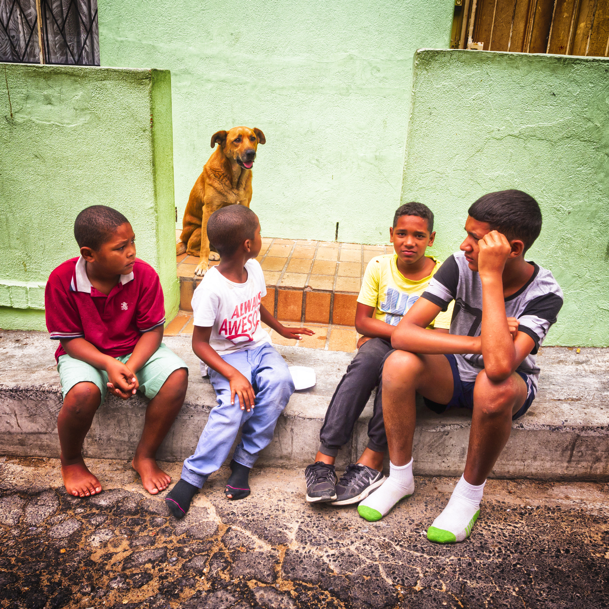 Olympus OM-D E-M10 + Olympus M.Zuiko Digital ED 12-40mm F2.8 Pro sample photo. Raw life contrasts of bo-kaap photography