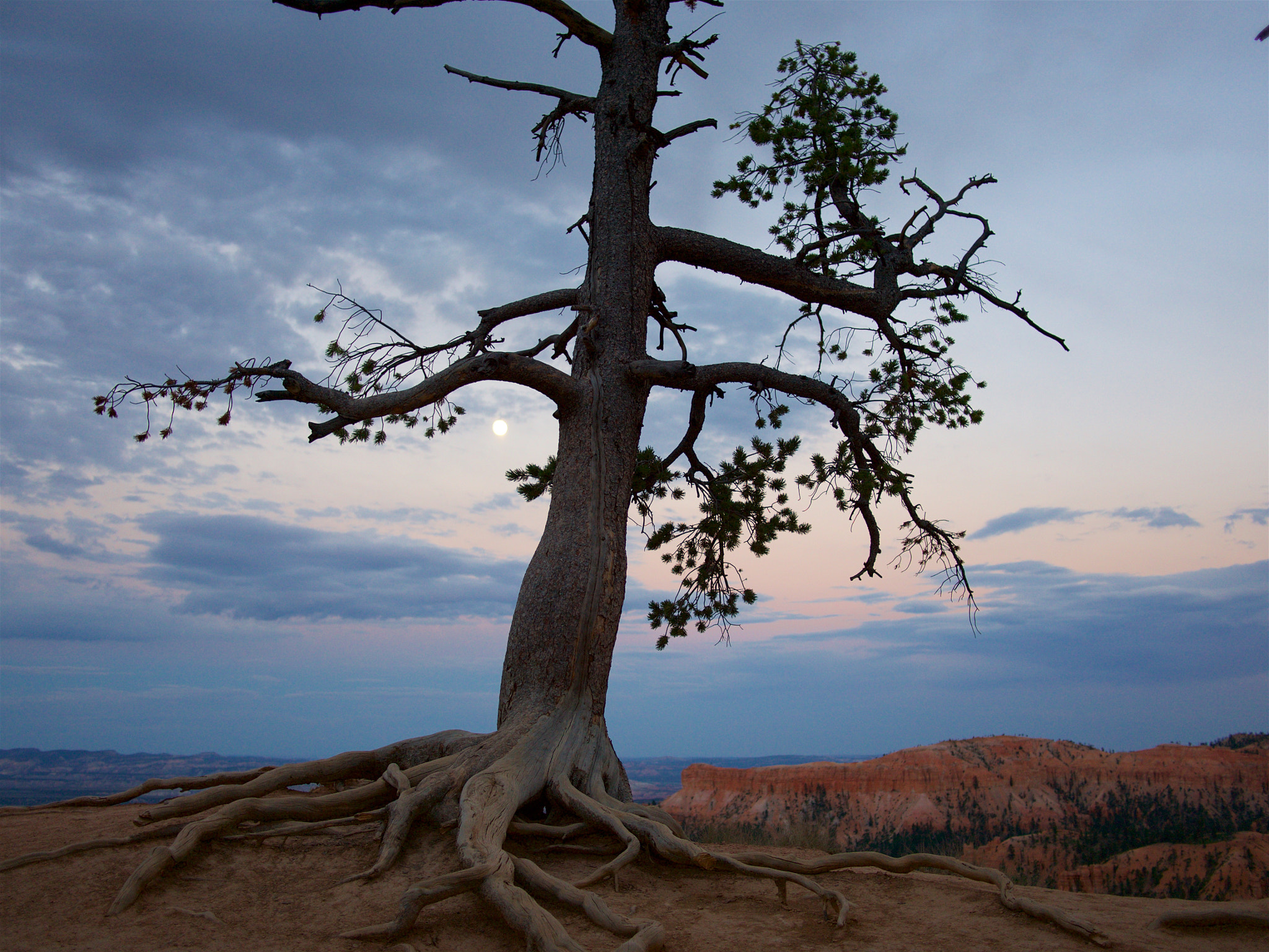 Panasonic Lumix DMC-GH4 sample photo. Bryce canyon national park photography