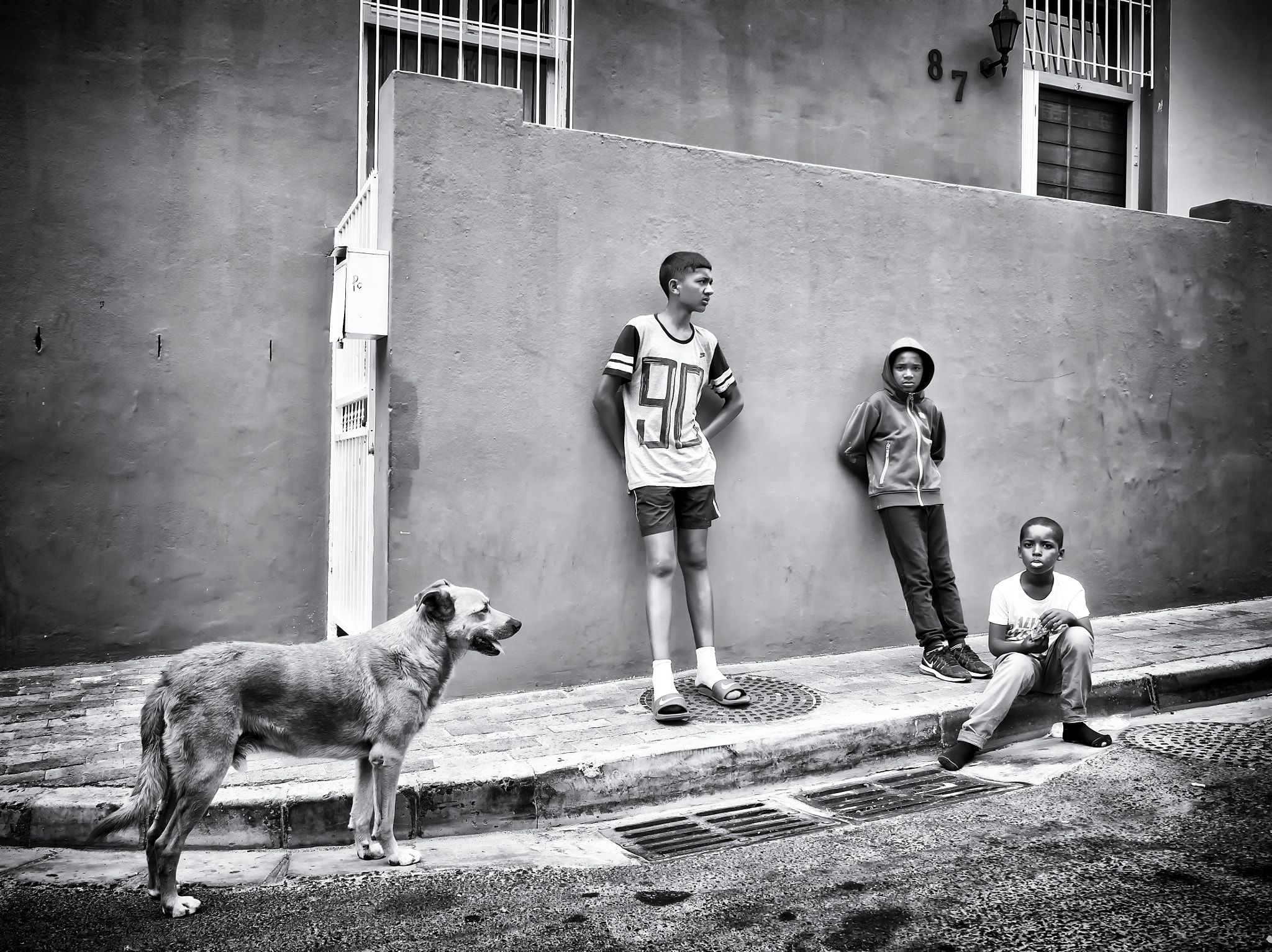 Olympus OM-D E-M10 + Olympus M.Zuiko Digital ED 12-40mm F2.8 Pro sample photo. Raw life contrasts of bo-kaap photography