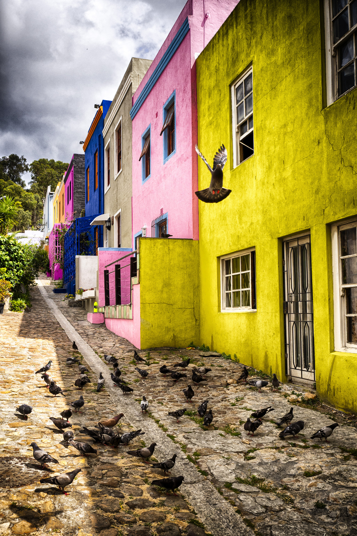 Olympus OM-D E-M10 + Olympus M.Zuiko Digital ED 12-40mm F2.8 Pro sample photo. Raw life contrasts of bo-kaap photography