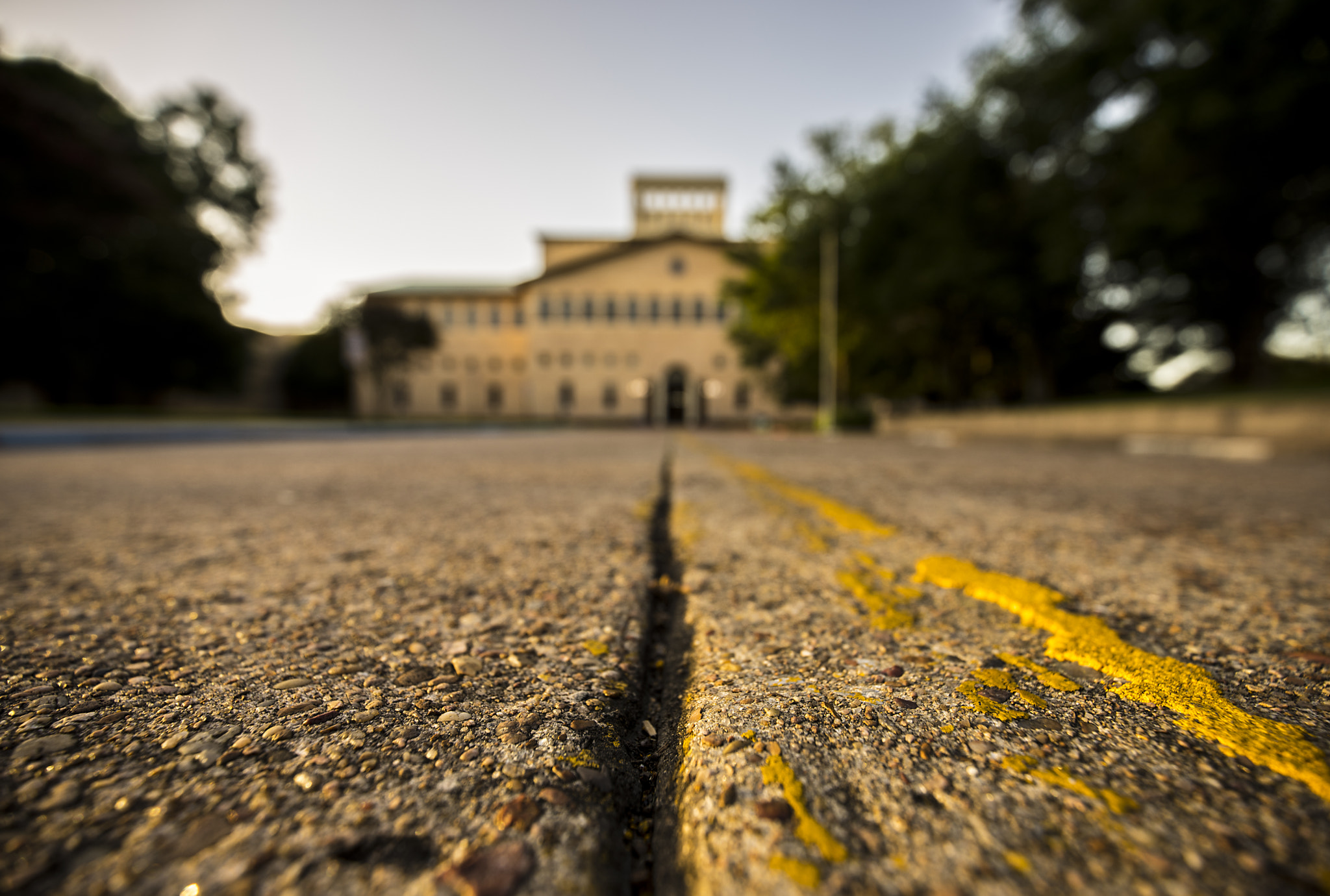 Sony a7R sample photo. Ddeo photography