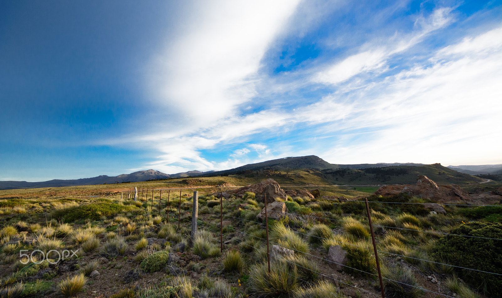 Sigma 8-16mm F4.5-5.6 DC HSM sample photo. Paso de pino hachado photography