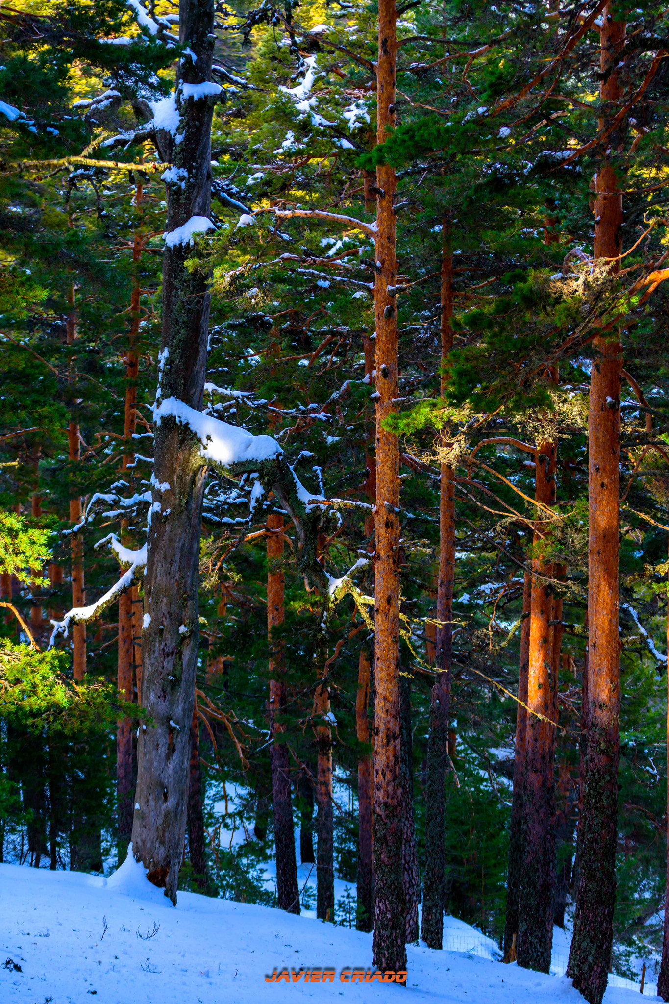 Nikon D7200 sample photo. 1350 meters high . photography