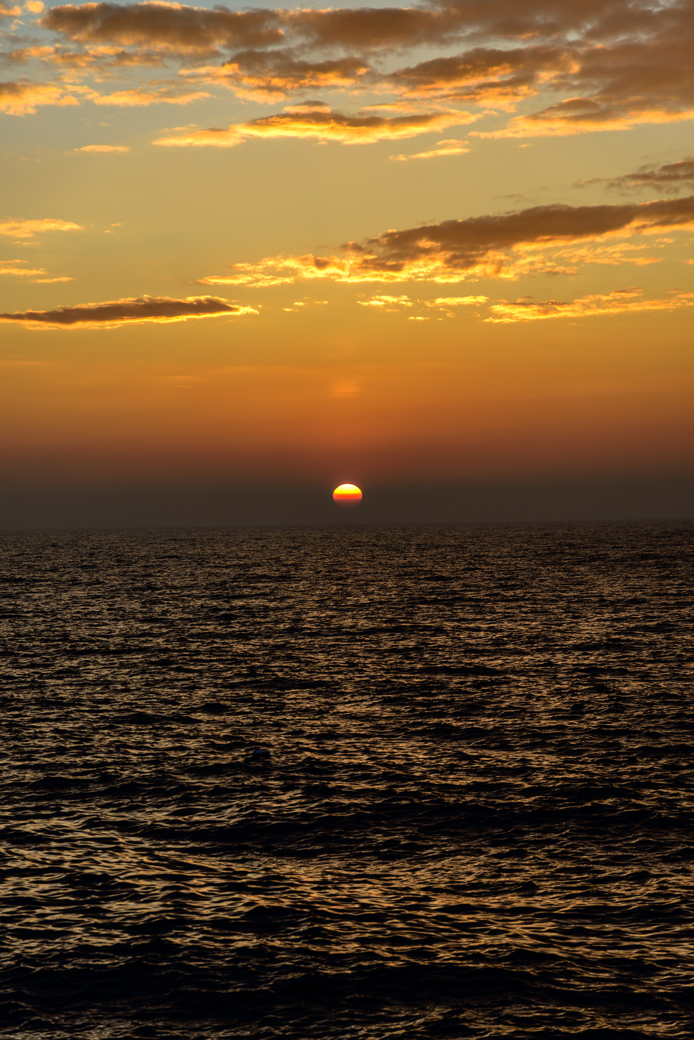 Nikon D800 sample photo. Sunset in rovinj photography