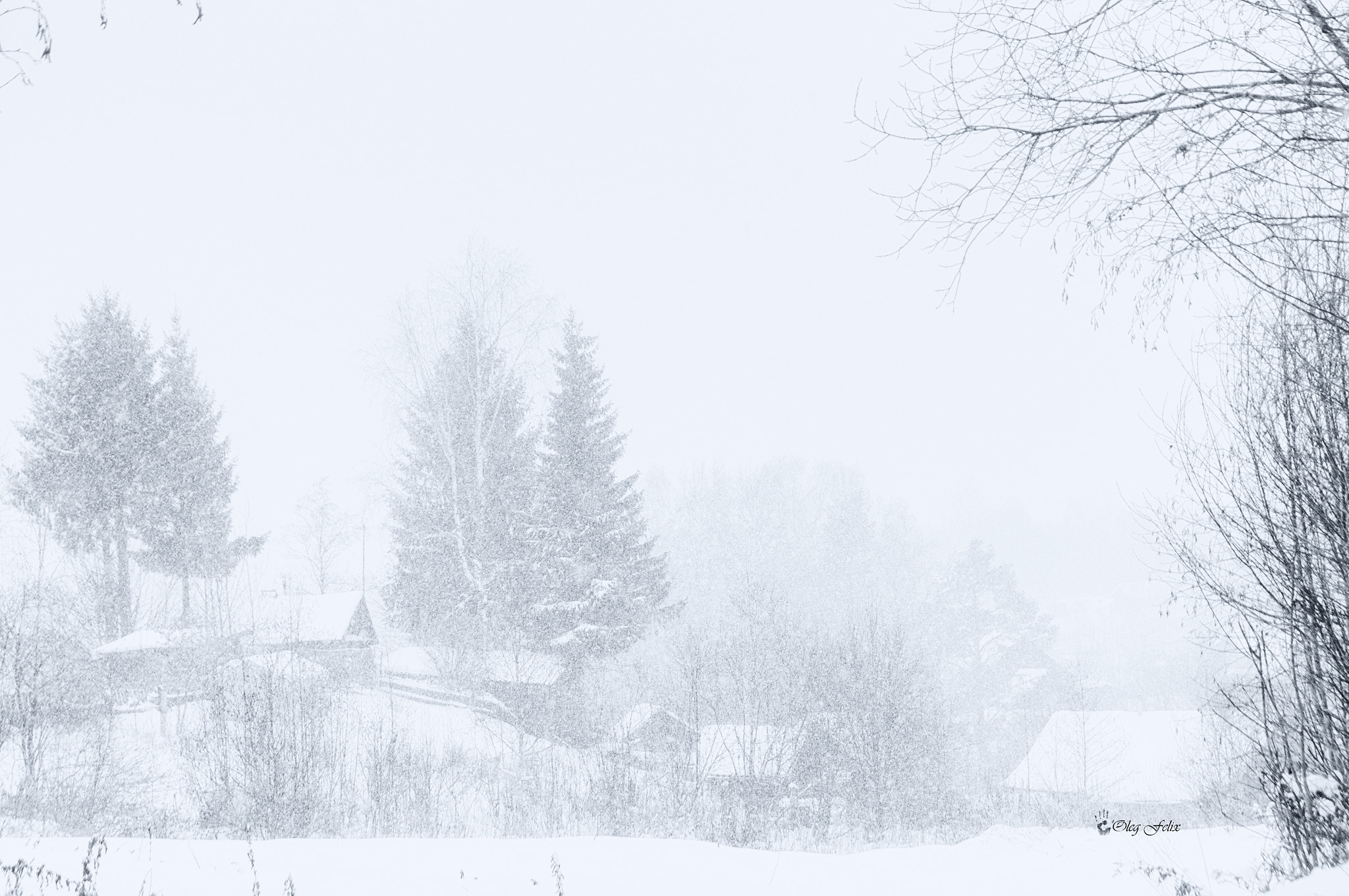 Sony SLT-A37 sample photo. Снегопад (snowfall) photography