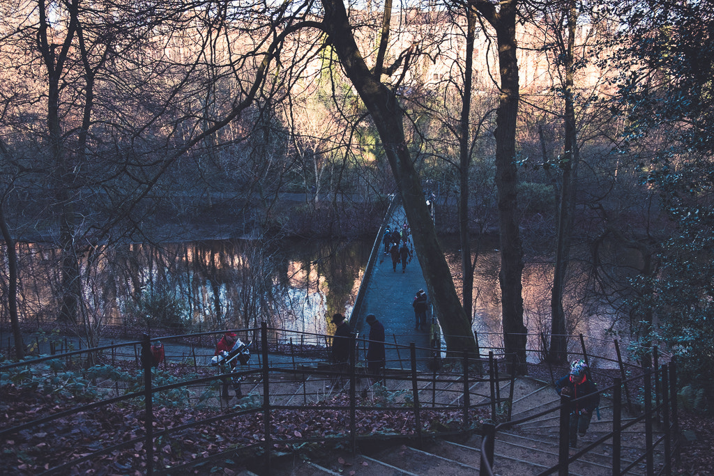 Fujifilm X-E2S sample photo. Winter walks photography