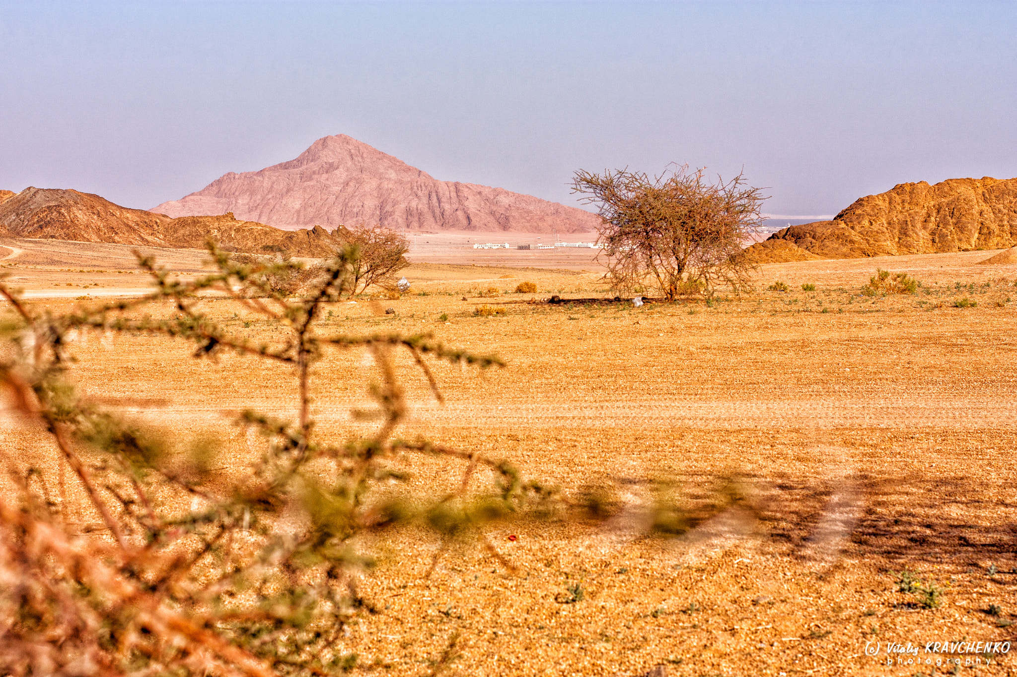 Canon EOS 450D (EOS Rebel XSi / EOS Kiss X2) sample photo. Desert in egypt photography