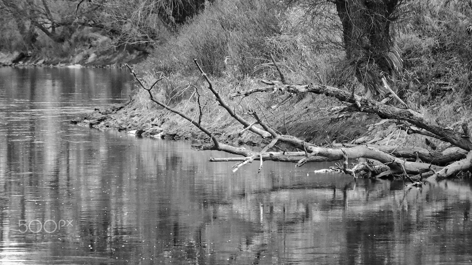 Panasonic Lumix DMC-GX85 (Lumix DMC-GX80 / Lumix DMC-GX7 Mark II) sample photo. Silent stream i. photography