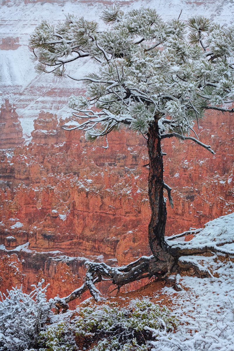 Canon EOS 5D + Canon EF 100-400mm F4.5-5.6L IS USM sample photo. Bryce canyon photography