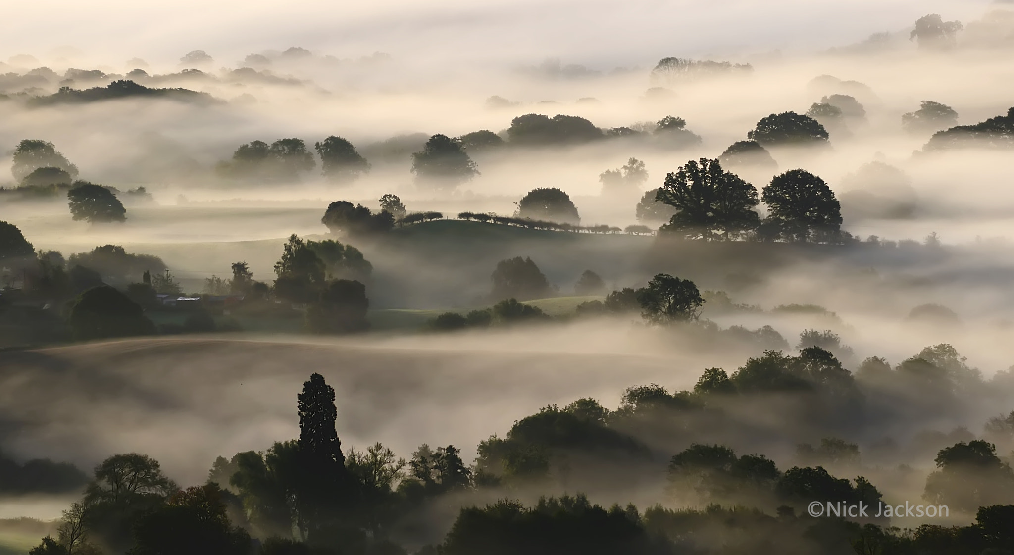 Nikon D300 sample photo. Best mist ever photography