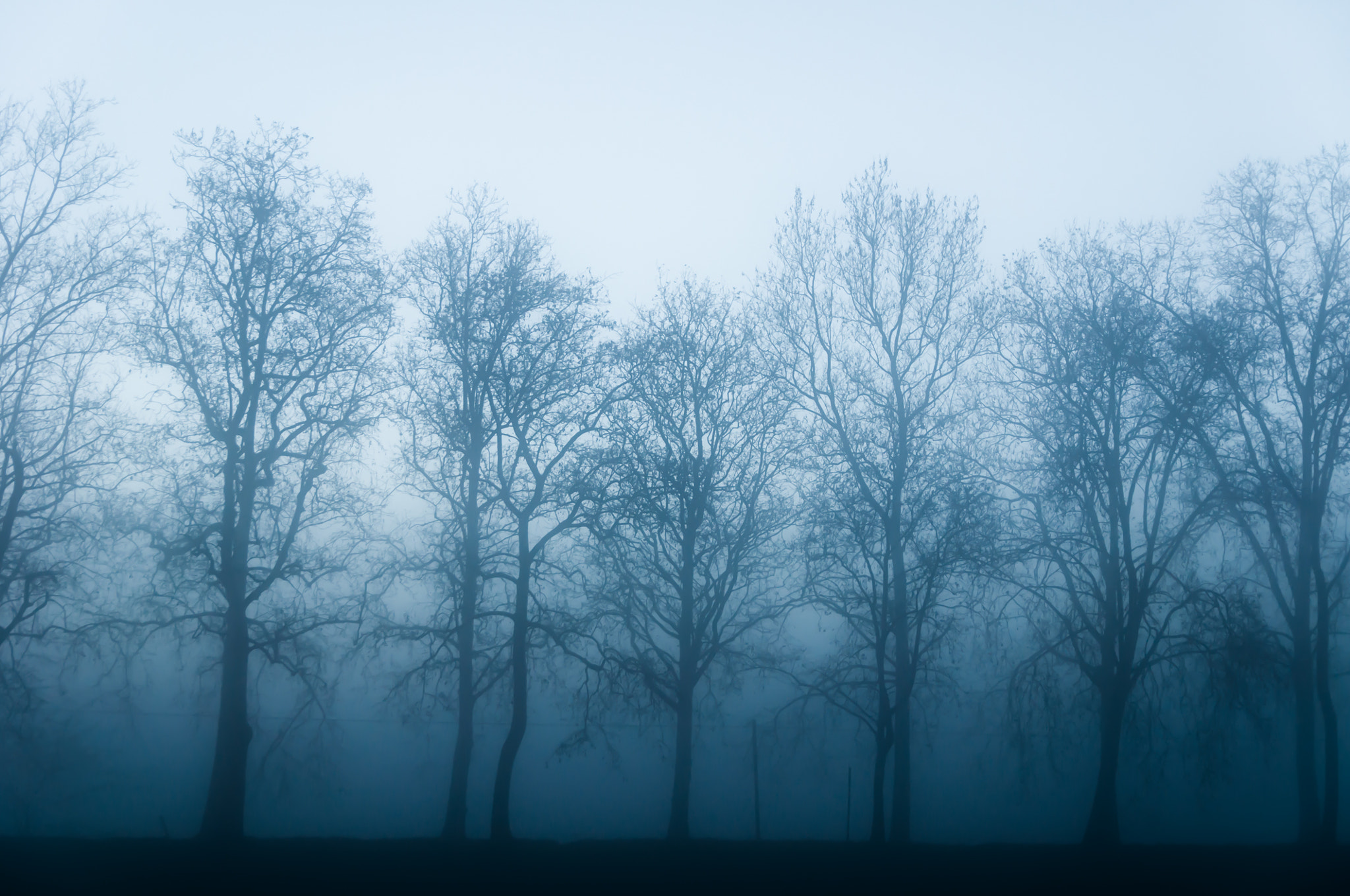 Sigma 17-50mm F2.8 EX DC OS HSM sample photo. Fog #2 photography