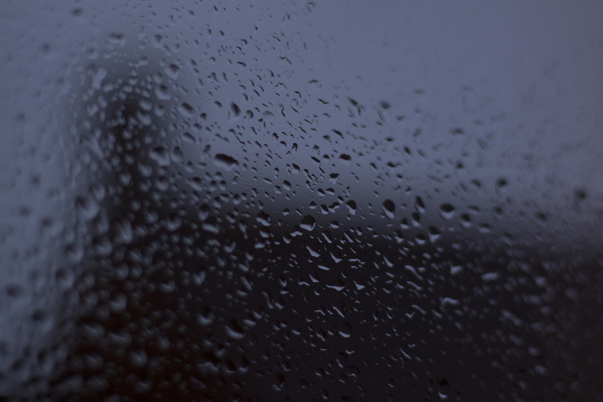 Canon EOS 50D + Canon EF 50mm F1.8 STM sample photo. Rain photography