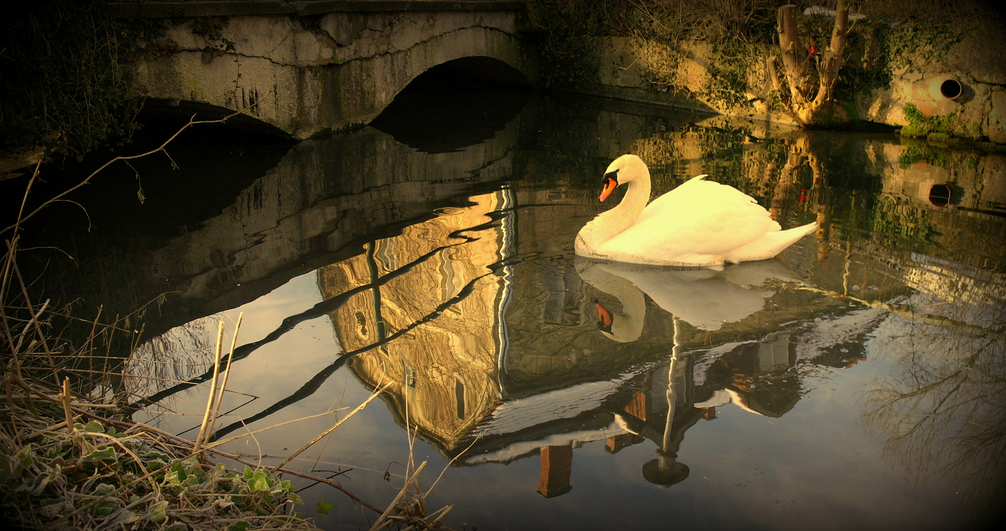 Samsung NX10 sample photo. "unter der brÜcke" photography