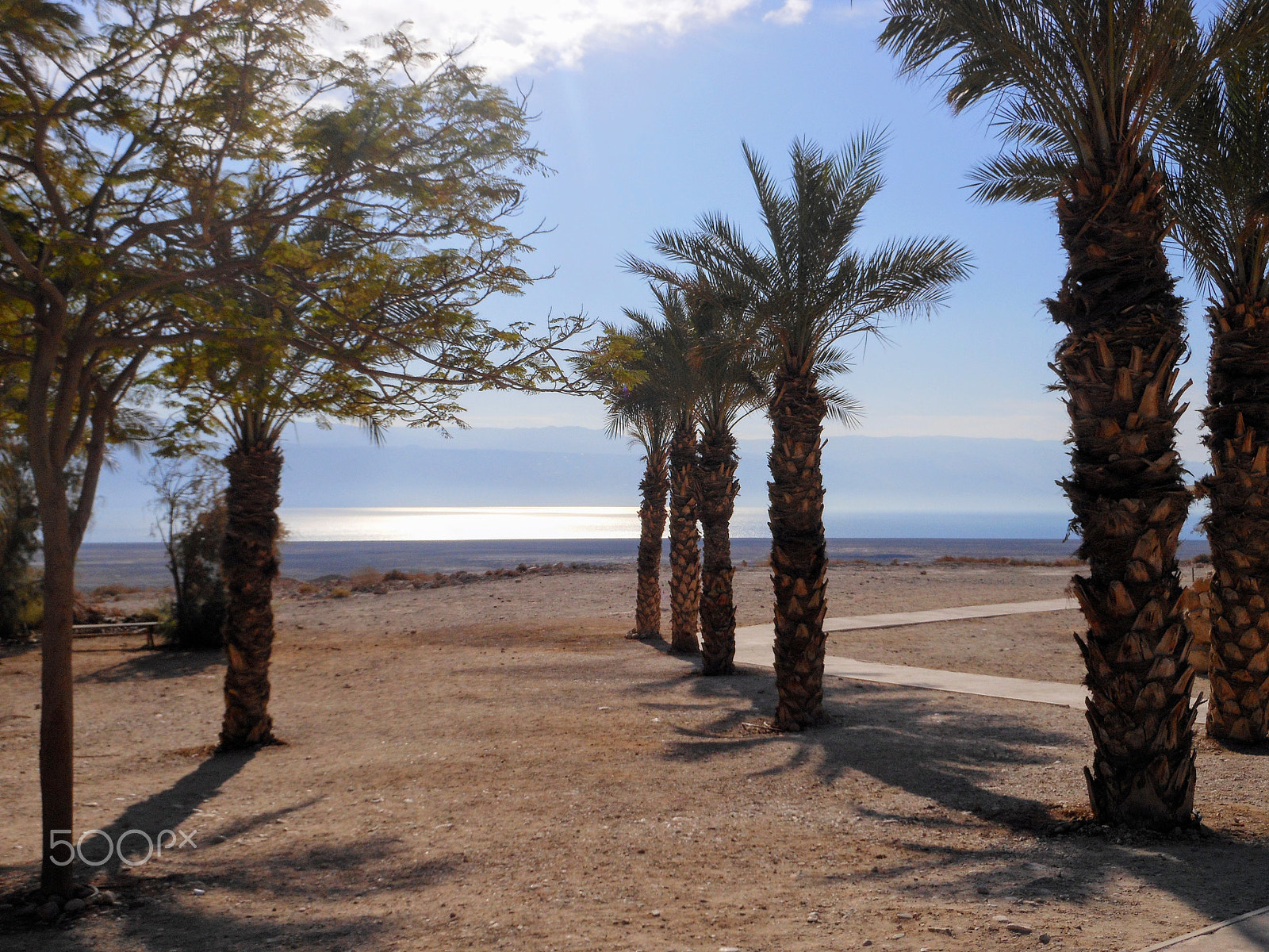 Nikon Coolpix S6100 sample photo. Desert and dead sea photography