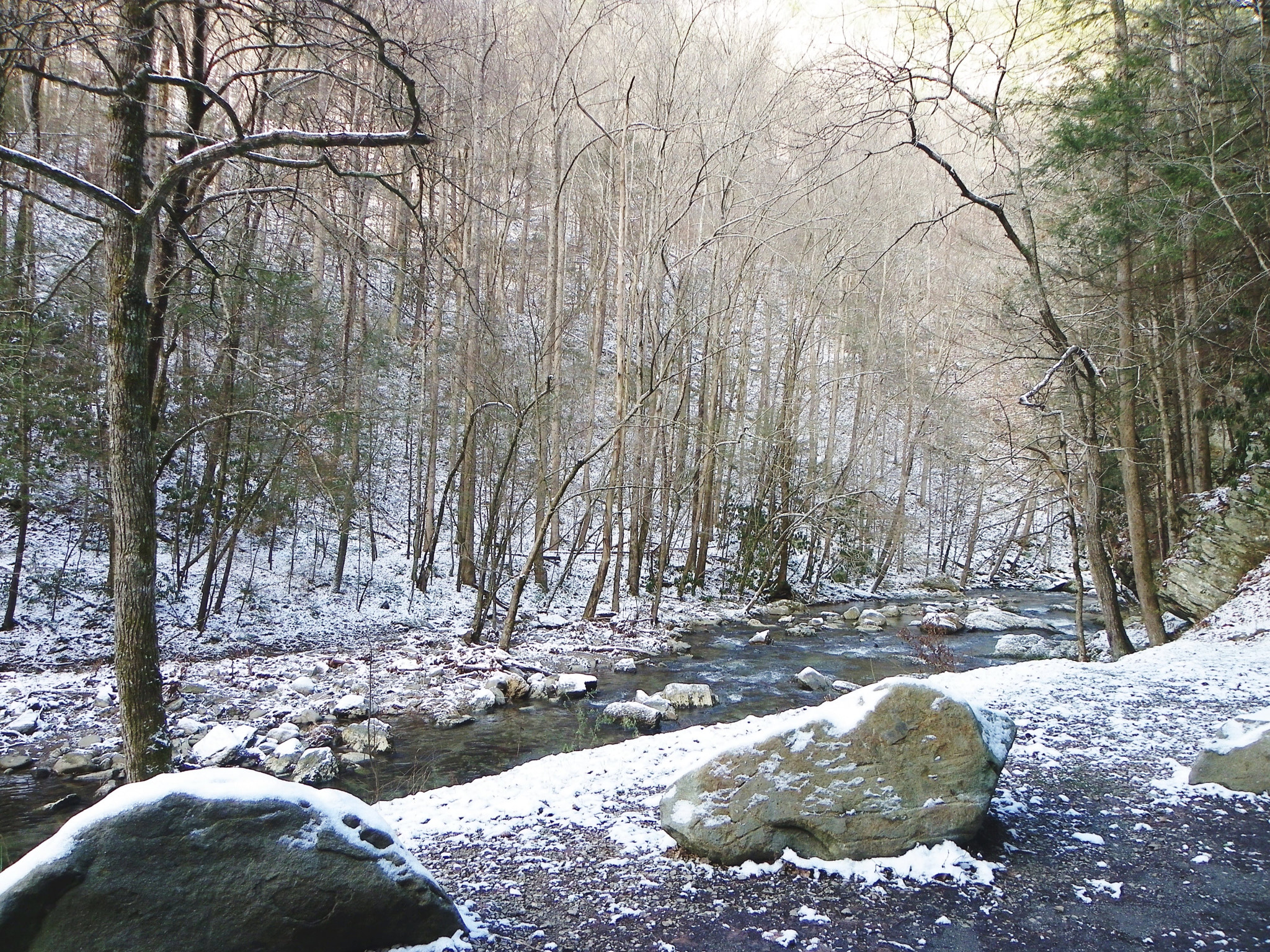 Pentax X90 sample photo. Gatlinburg photography