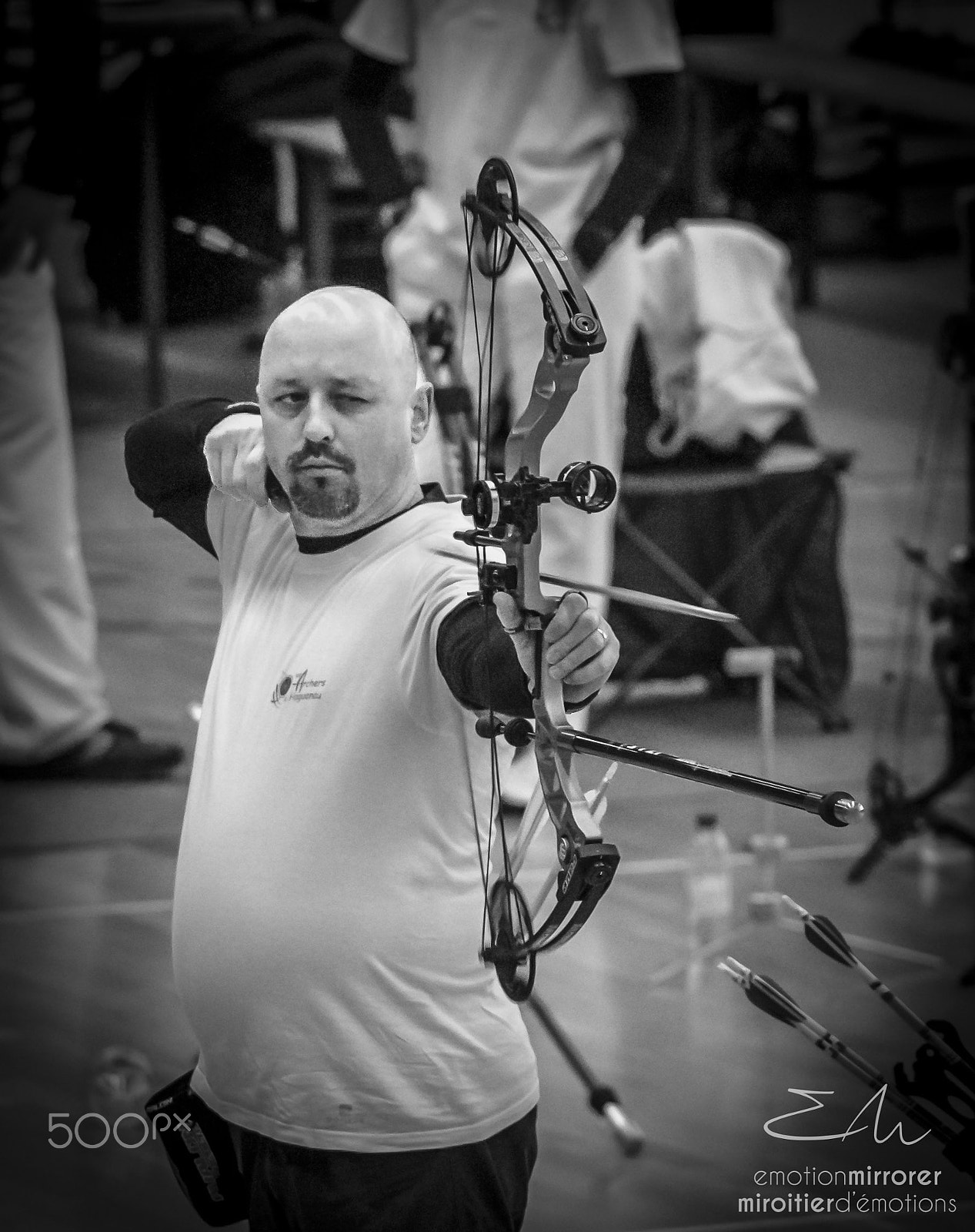 Sigma 150-600mm F5-6.3 DG OS HSM | S sample photo. Archer & arrow photography