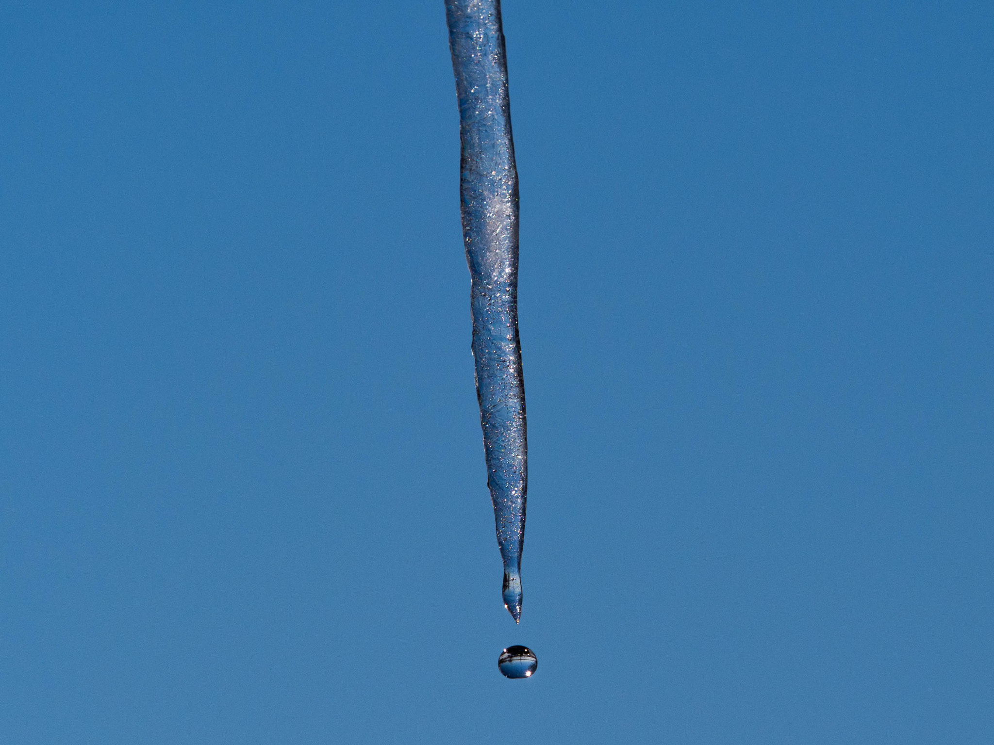 Olympus M.Zuiko Digital ED 40-150mm F2.8 Pro sample photo. Finally!! a sign of springtime....i hope. photography