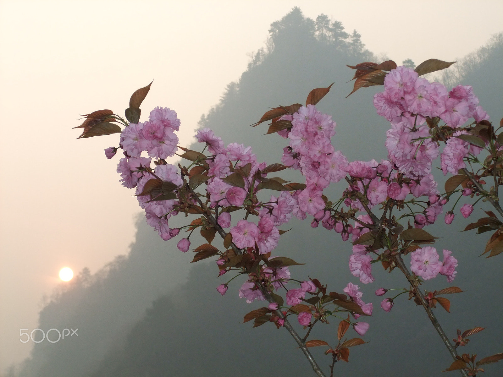 FujiFilm FinePix F70EXR (FinePix F75EXR) sample photo. Sunrise in wudang, china photography