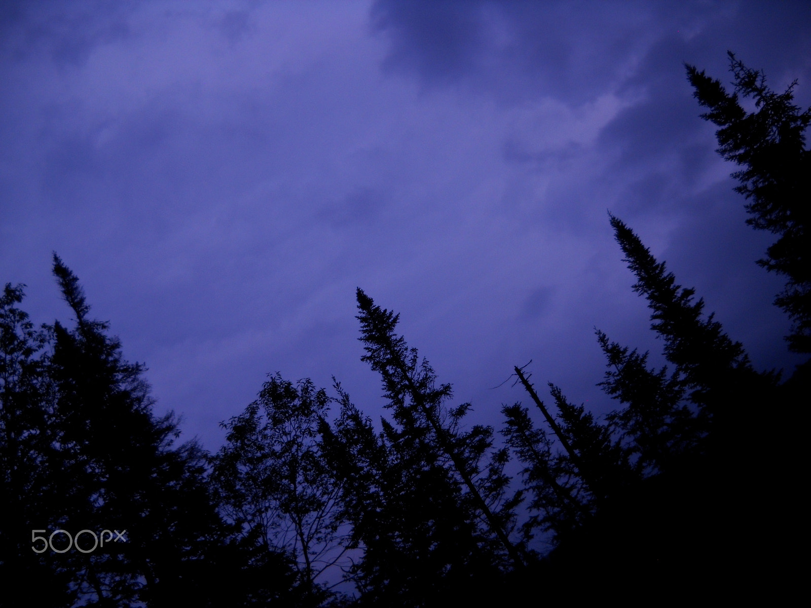 Nikon Coolpix L20 sample photo. Purple sky photography