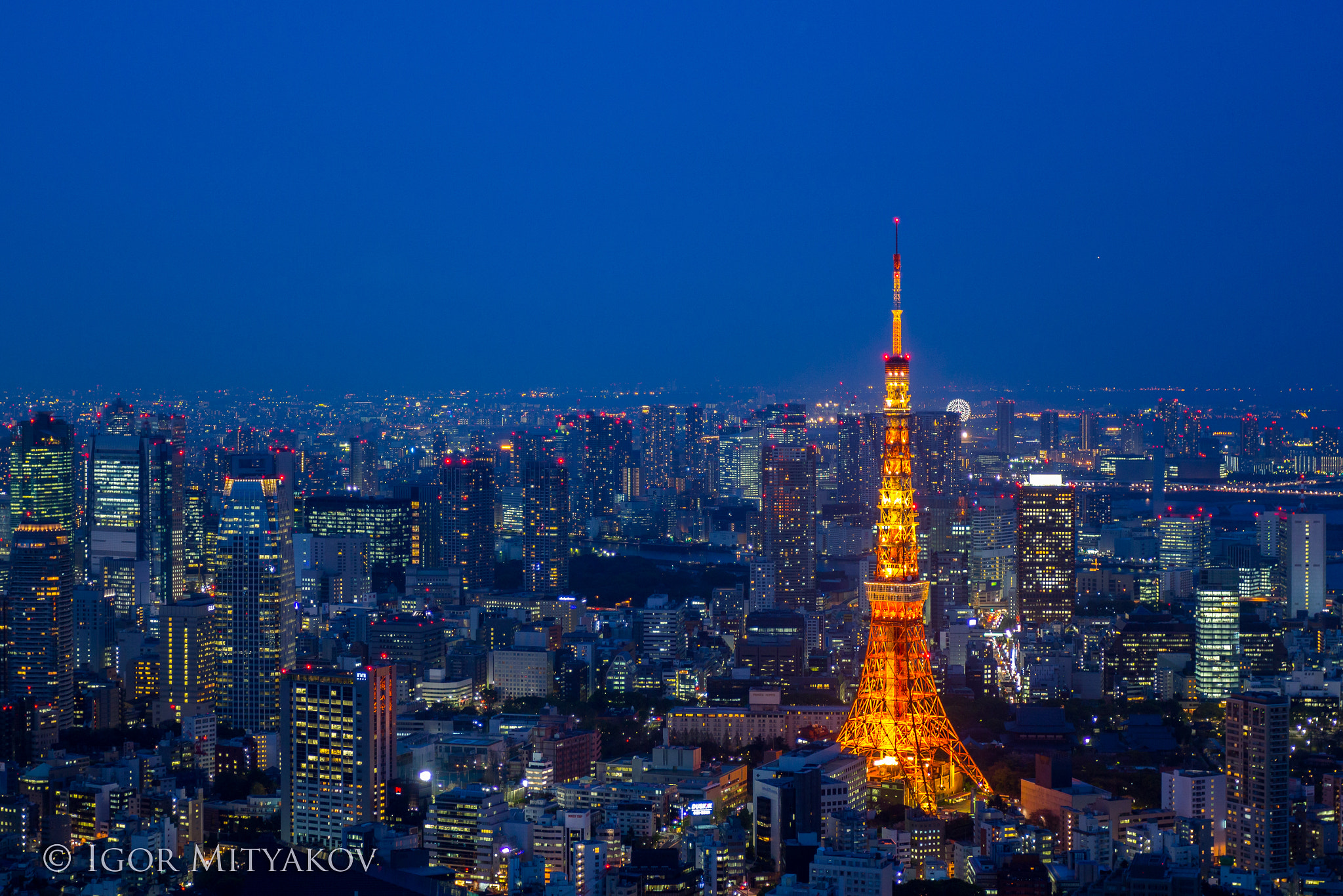 Canon EOS 60D sample photo. Tokyo tower photography