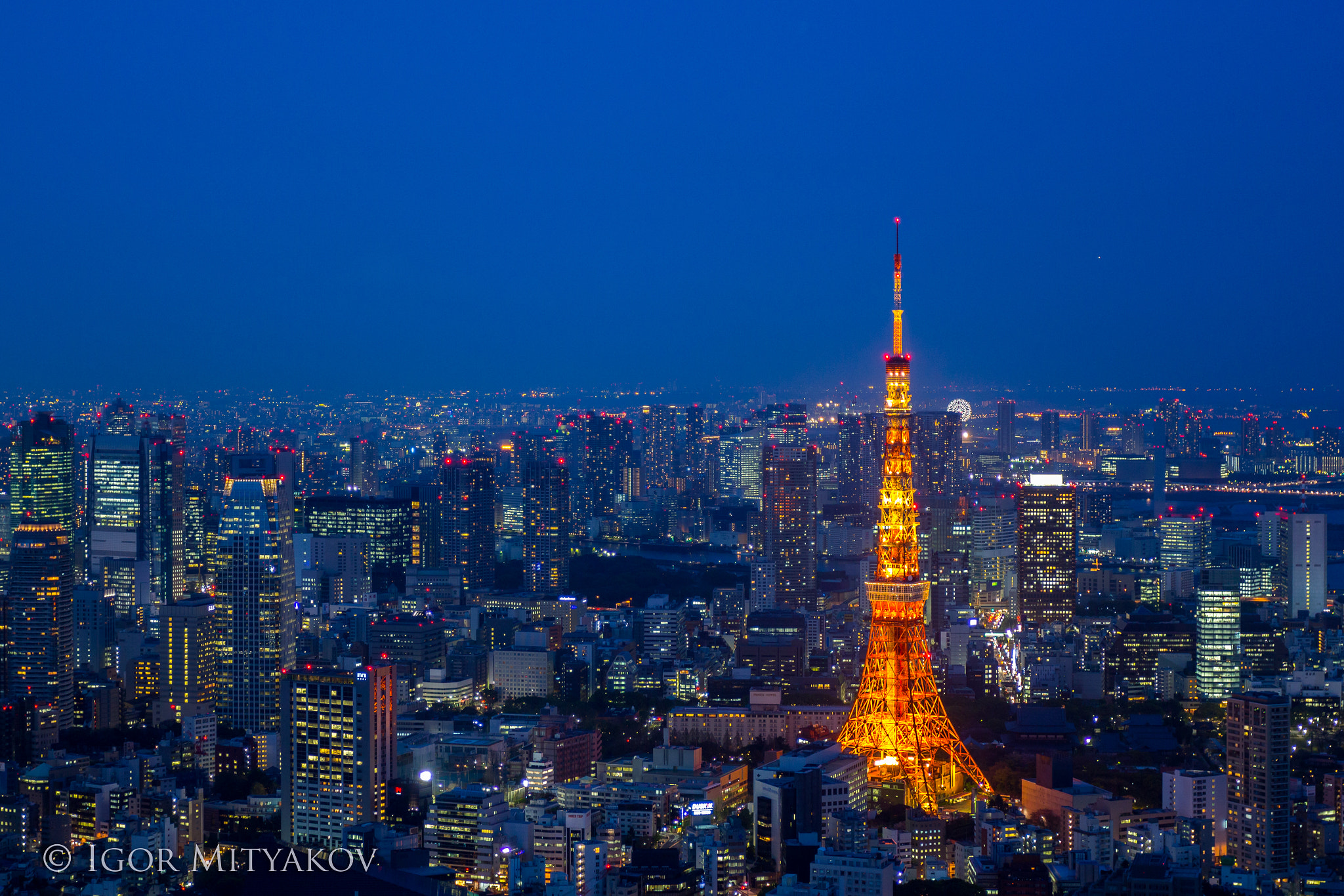 Canon EOS 60D + Canon EF 17-40mm F4L USM sample photo. Tokyo tower photography