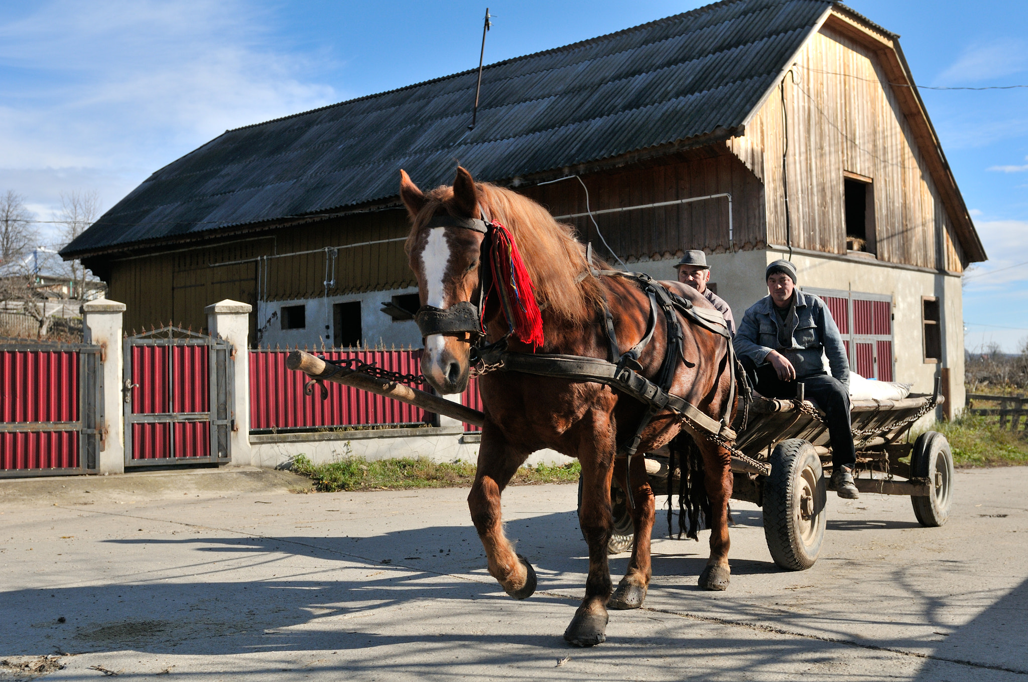 Nikon D300S sample photo. Old village in bucovina-roumania photography