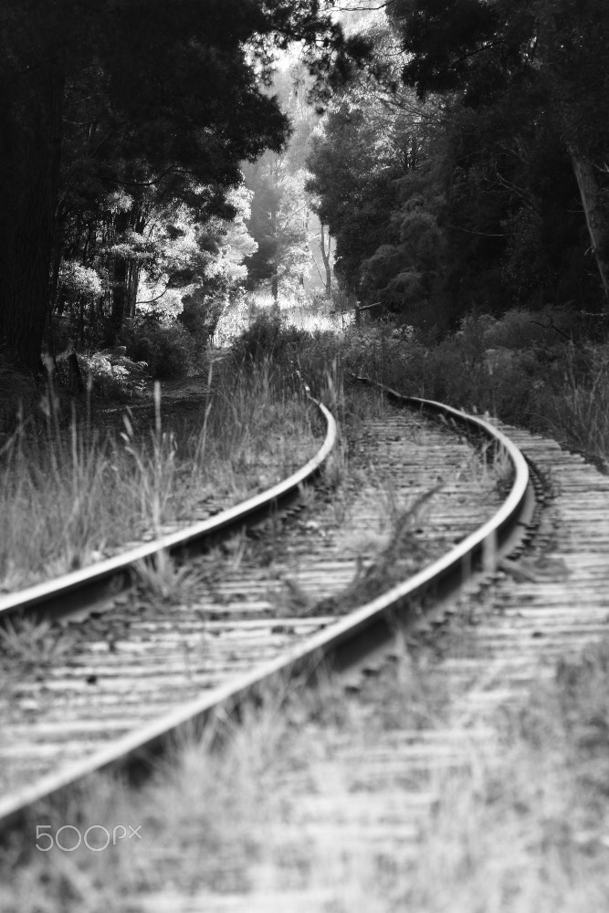 Canon EF-S 55-250mm F4-5.6 IS sample photo. Yanns rd line, #2 photography