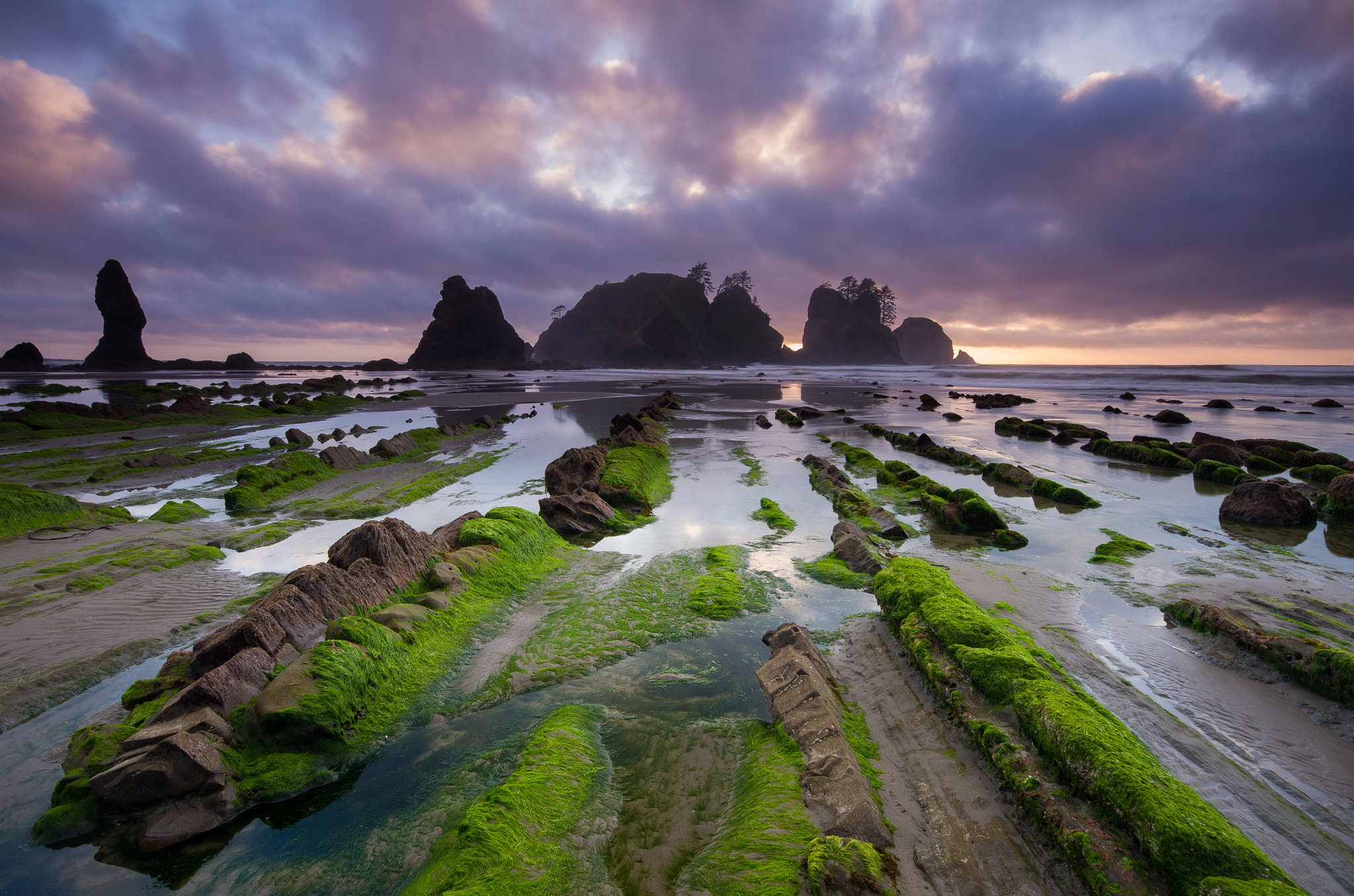 Pentax K-5 II + Sigma AF 10-20mm F4-5.6 EX DC sample photo. Shi shi beach photography