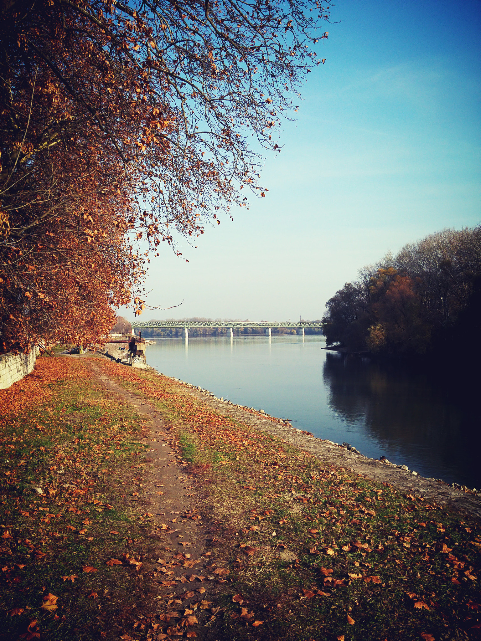 LG G FLEX2 sample photo. Danube photography