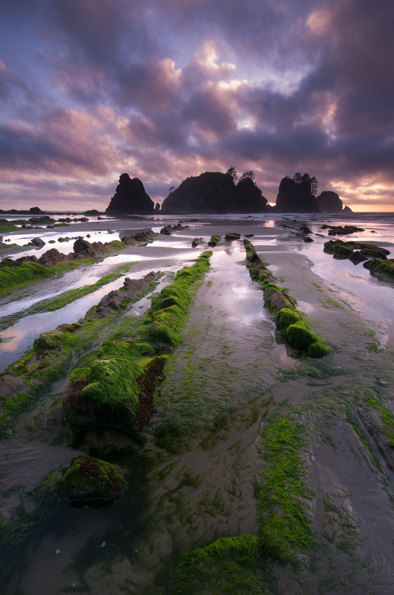 Sigma AF 10-20mm F4-5.6 EX DC sample photo. Shi shi beach ii photography