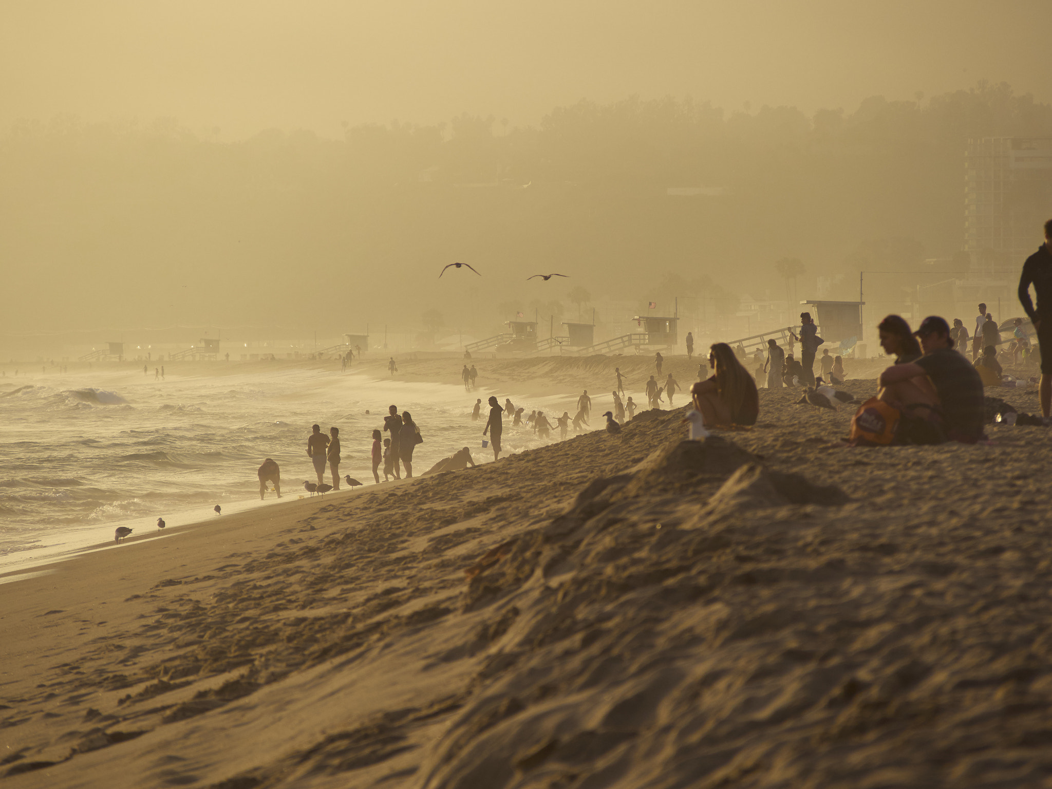 Olympus OM-D E-M5 sample photo. Santa monica beach photography