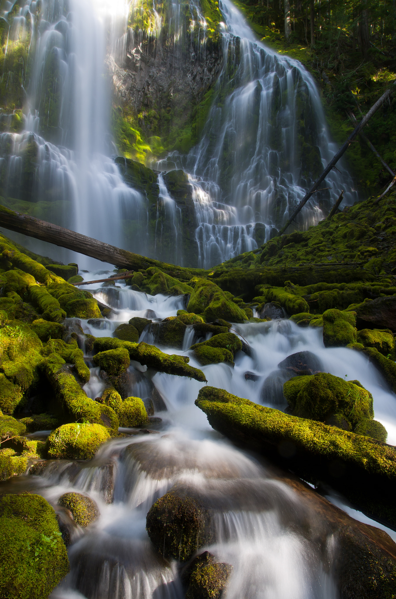 Pentax K-5 II sample photo. Proxy fall photography