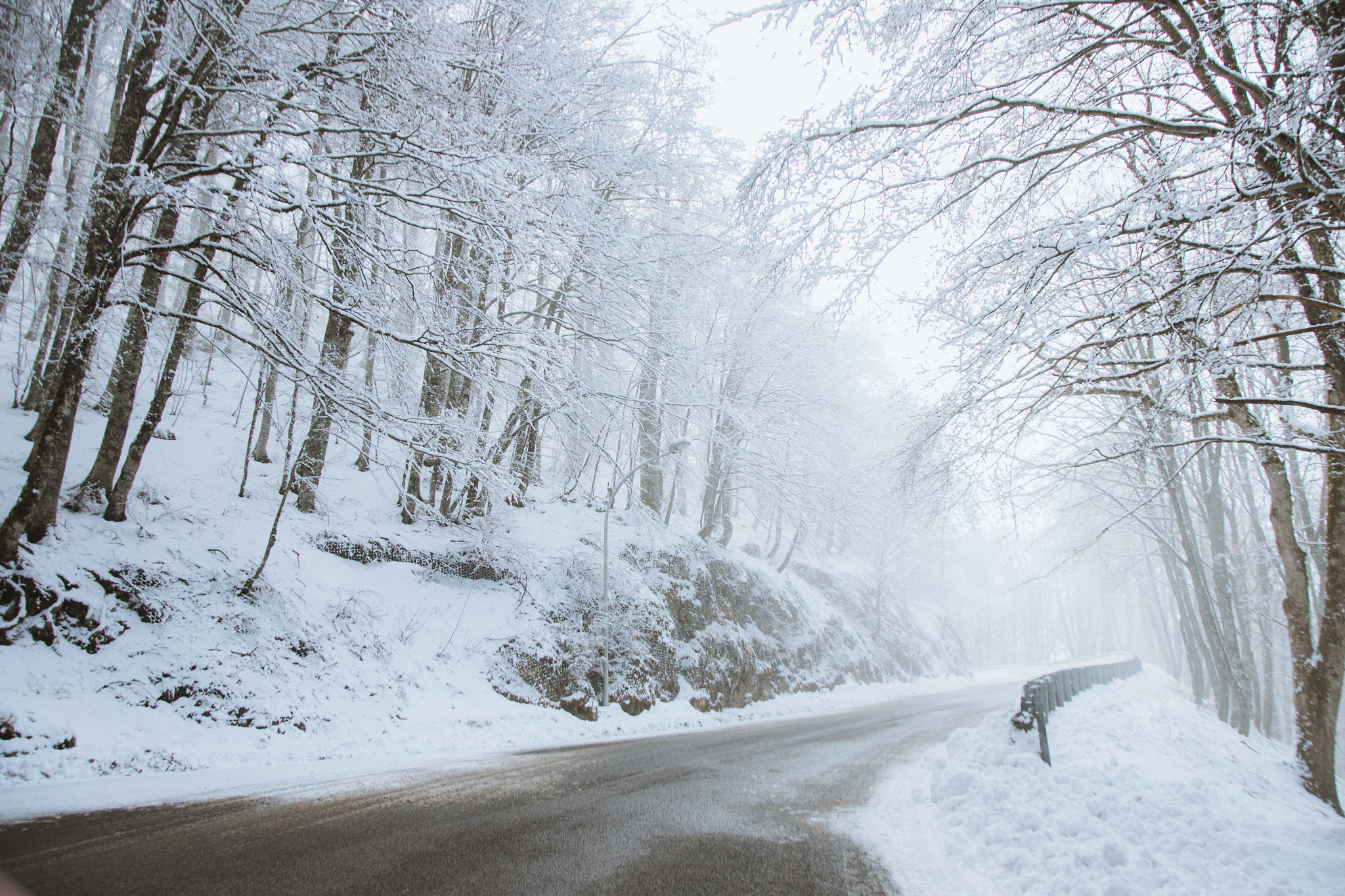 Nikon D810 sample photo. Winter wonderland. photography