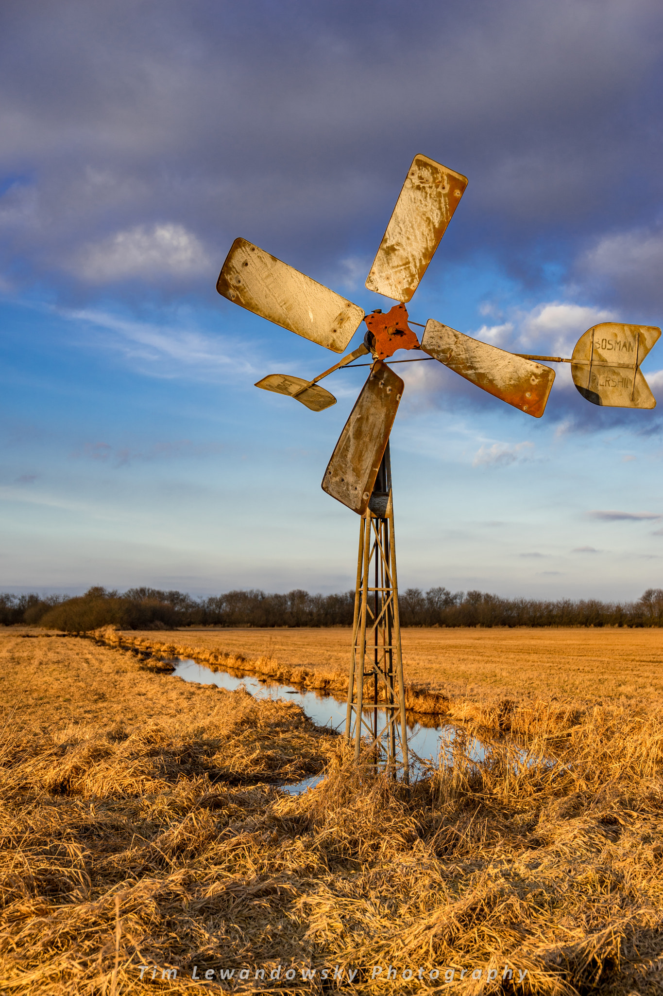 Sony a7 II + 24-105mm F4 sample photo. Am dümmer see  photography