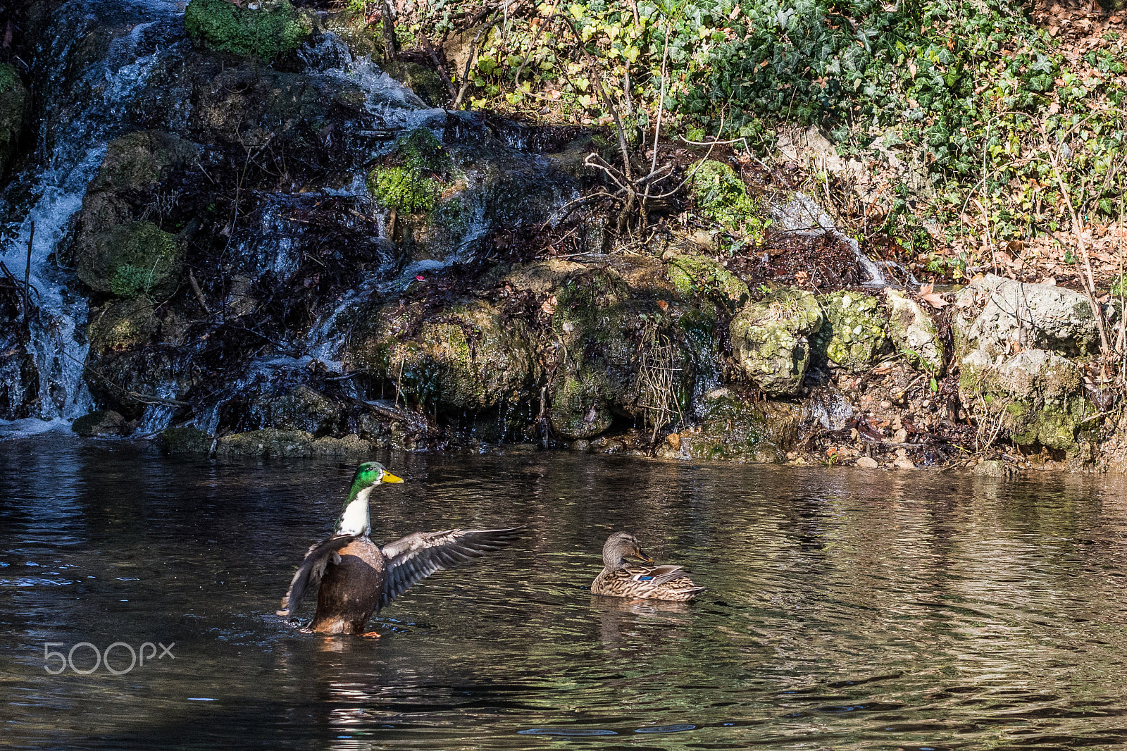 Nikon D7200 sample photo. 32851846921.jpg photography