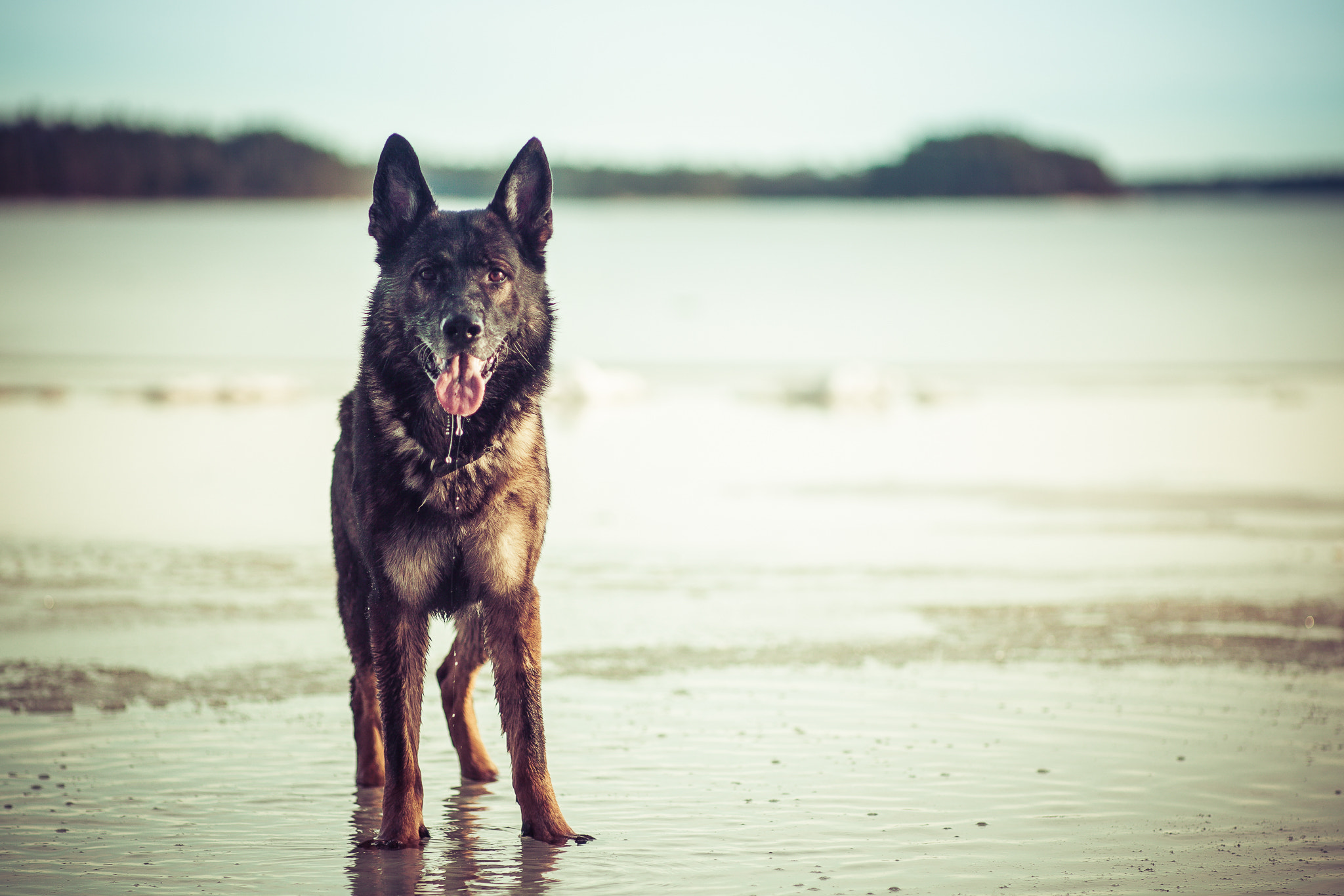 Canon EOS 5D Mark II sample photo. Onni found some water on ice photography