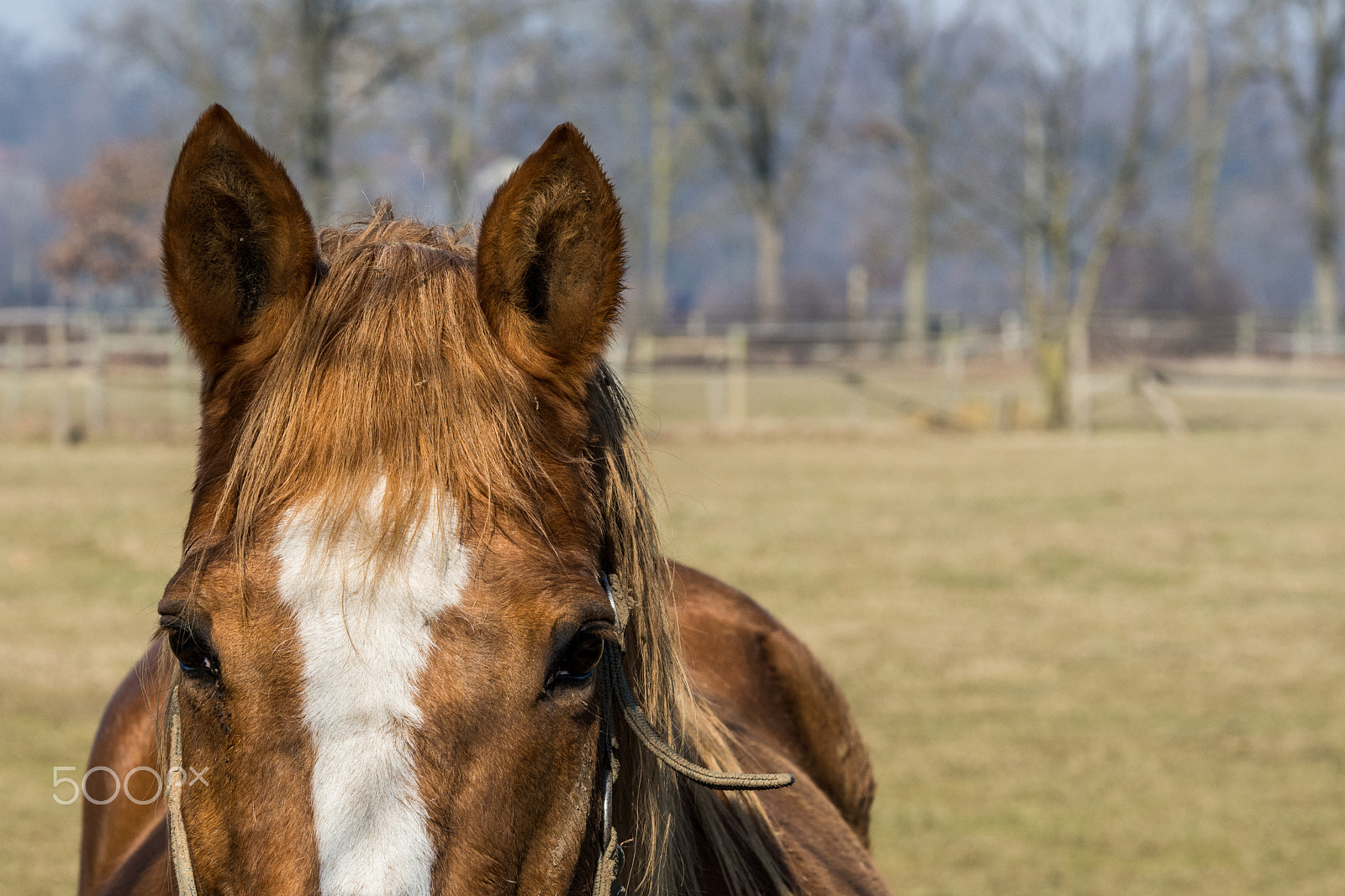 Nikon D7200 sample photo. 32822087732.jpg photography