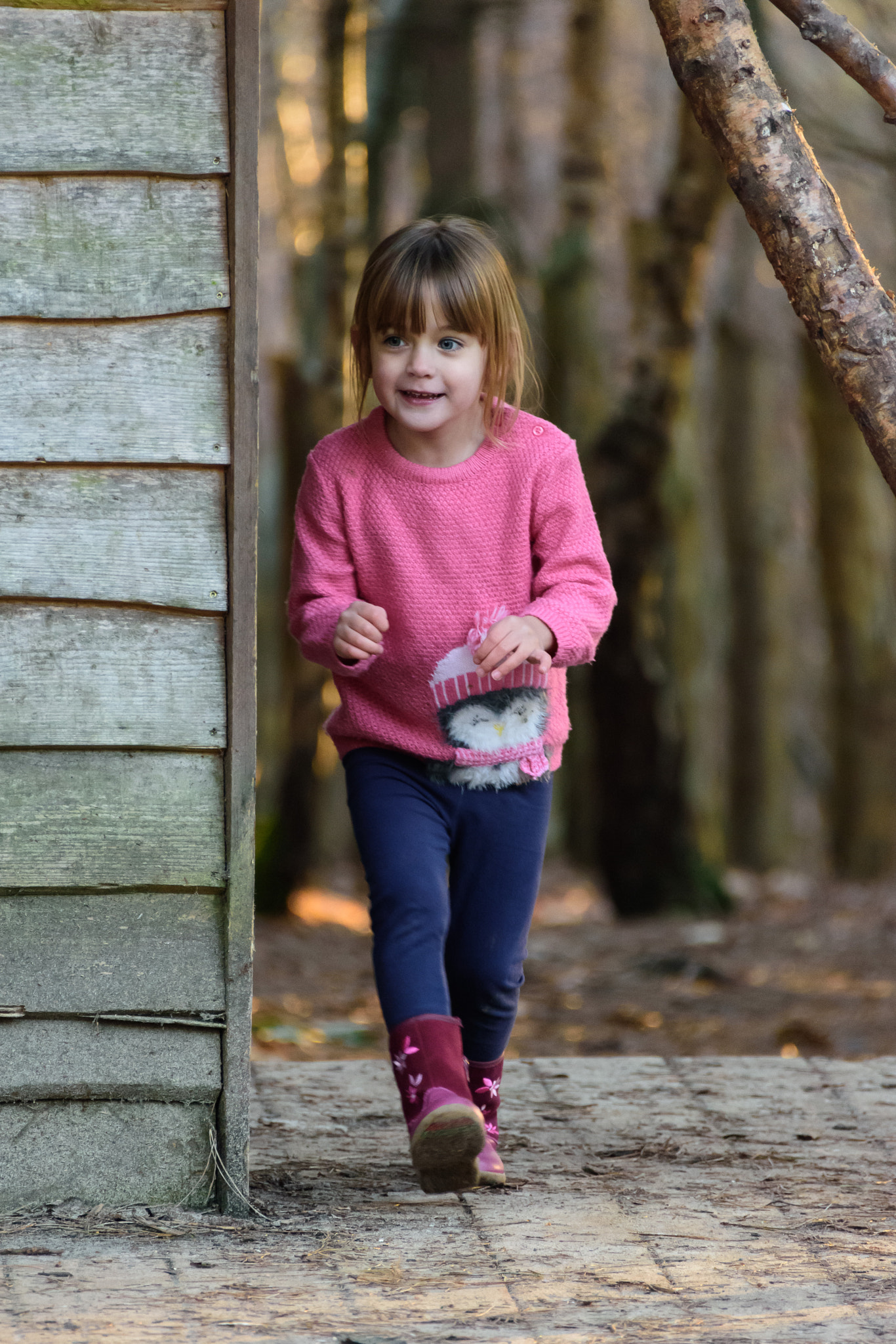 Nikon D7200 sample photo. Hide and seek photography