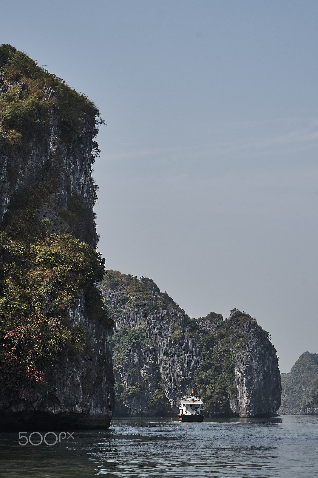 Sony a7 sample photo. Cat ba photography