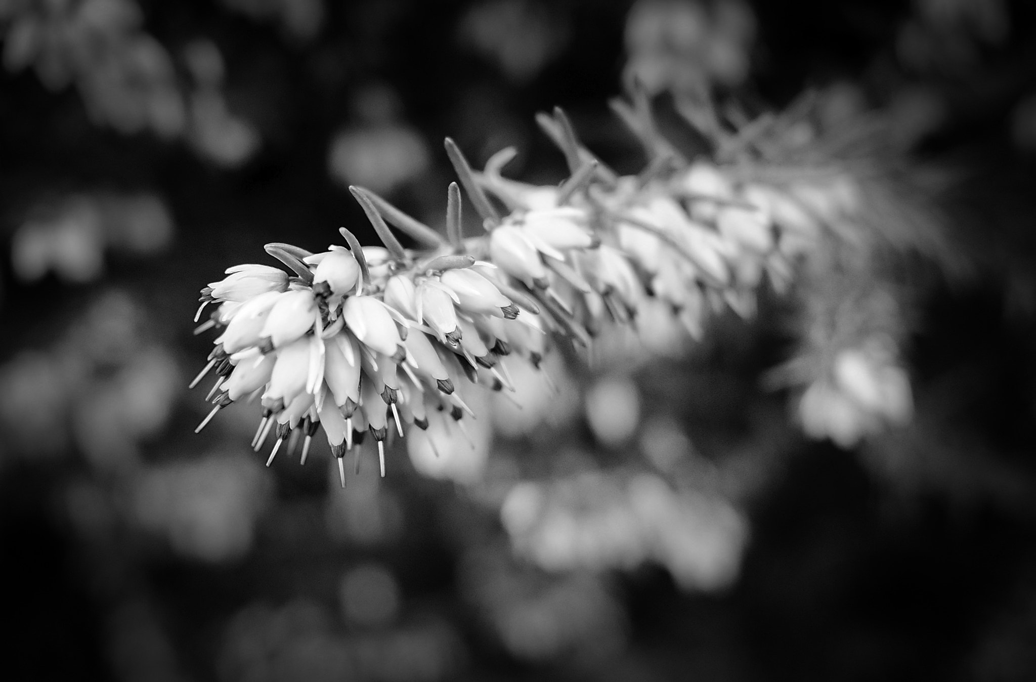 Fujifilm X-Pro1 + Fujifilm XF 18mm F2 R sample photo. Unbelievers photography