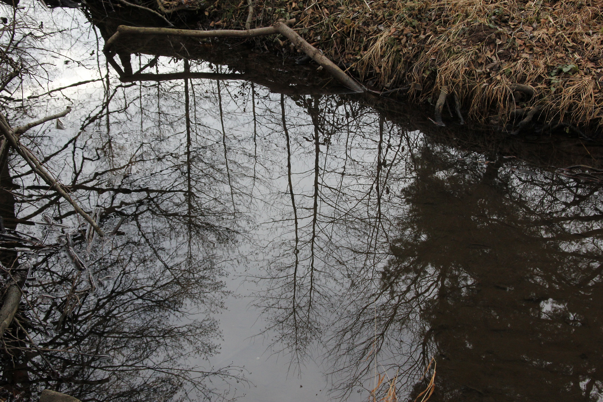 Canon EOS 60D sample photo. Reflektion in the brook photography