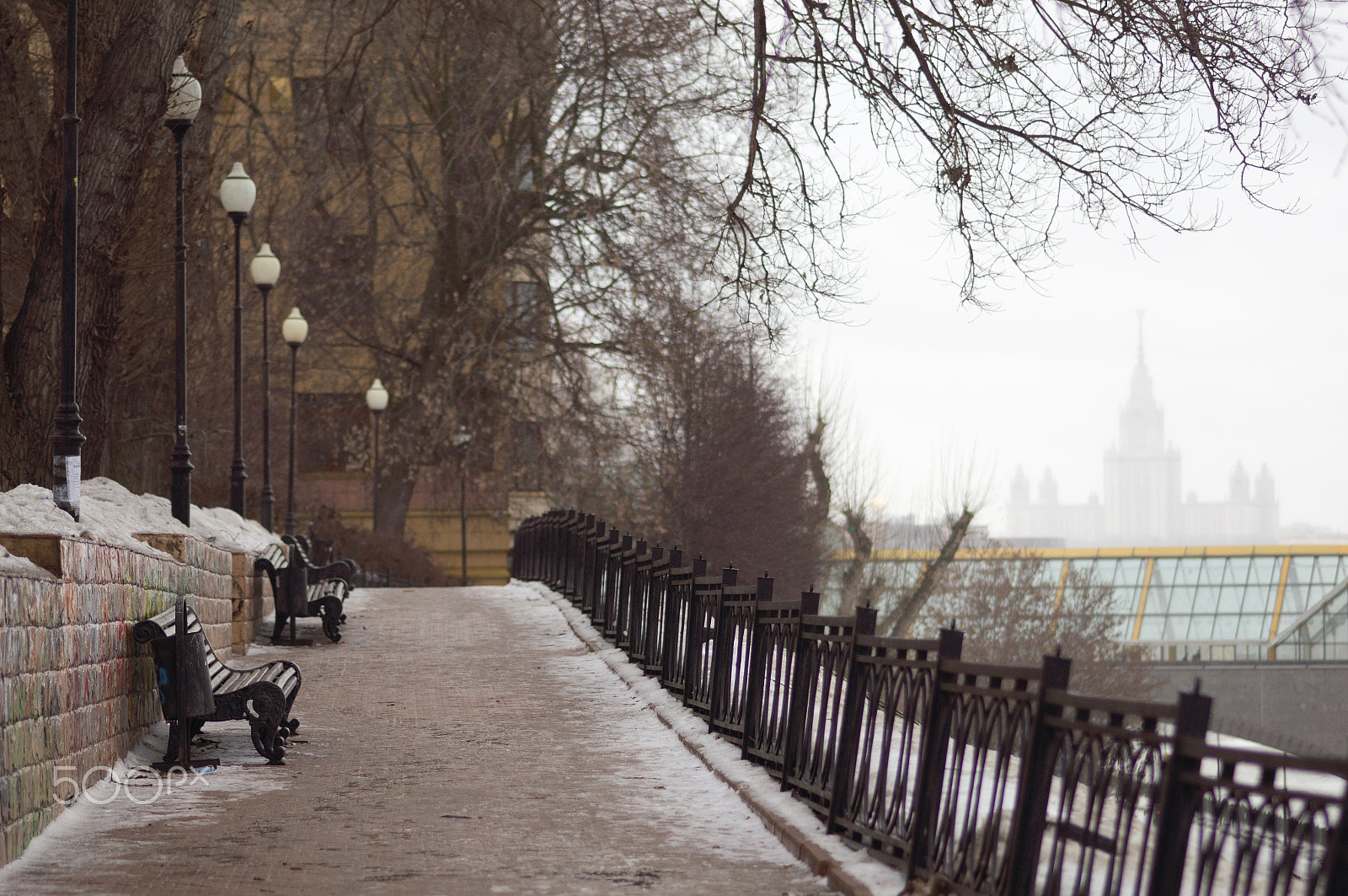 Sony Alpha DSLR-A580 sample photo. Silent winter walkway photography