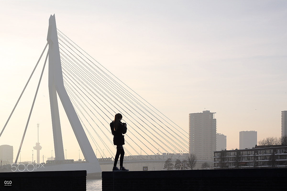 Sigma 17-70mm F2.8-4 DC Macro OS HSM sample photo. Rotteram photography