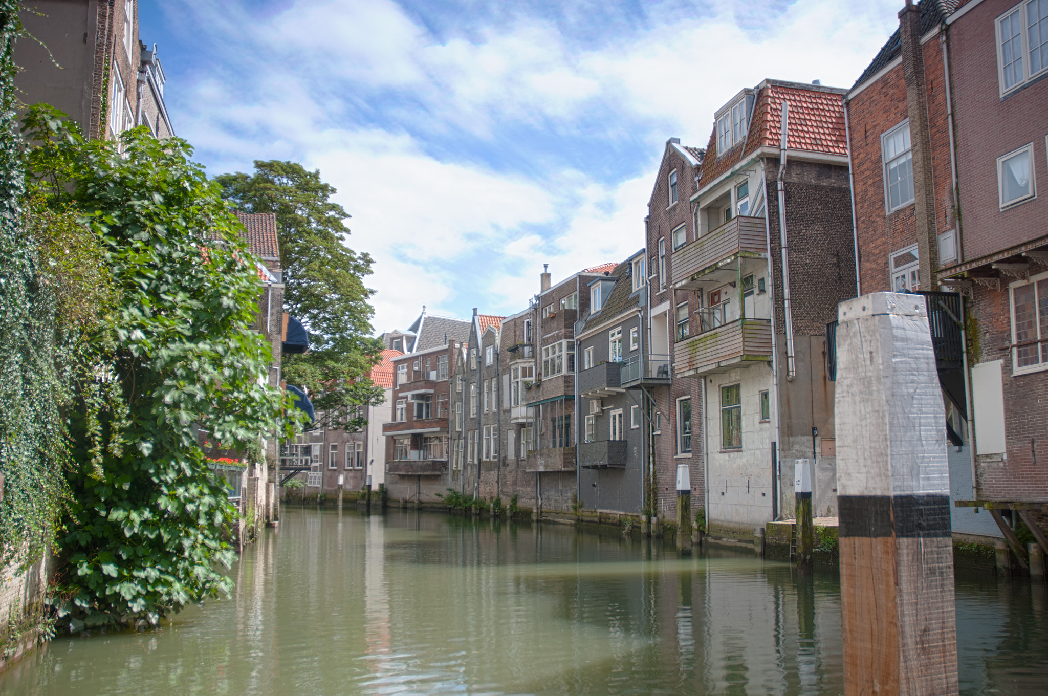 Nikon D300 sample photo. Street dordrecht photography