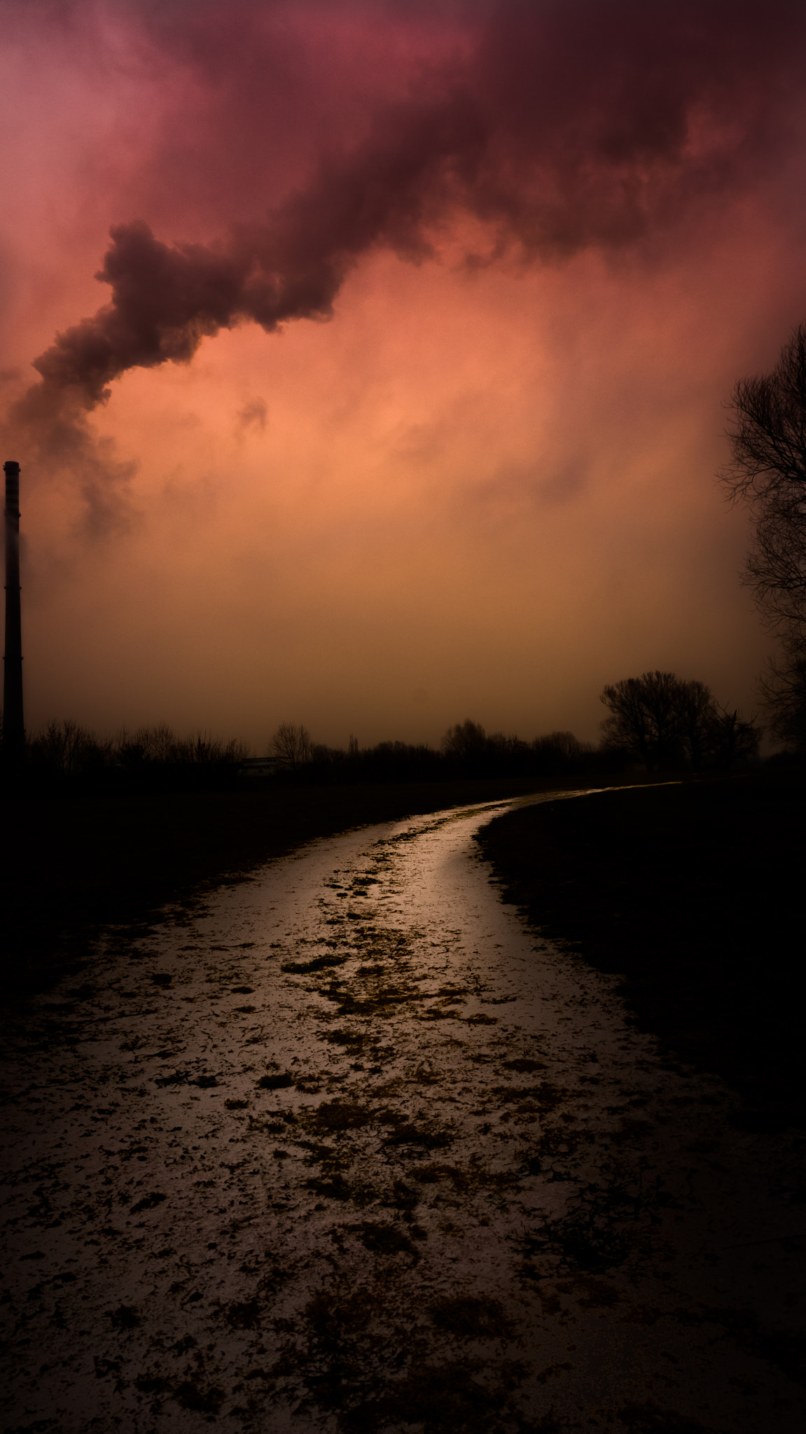 Sony Alpha NEX-6 sample photo. Smoke...in a way.. photography