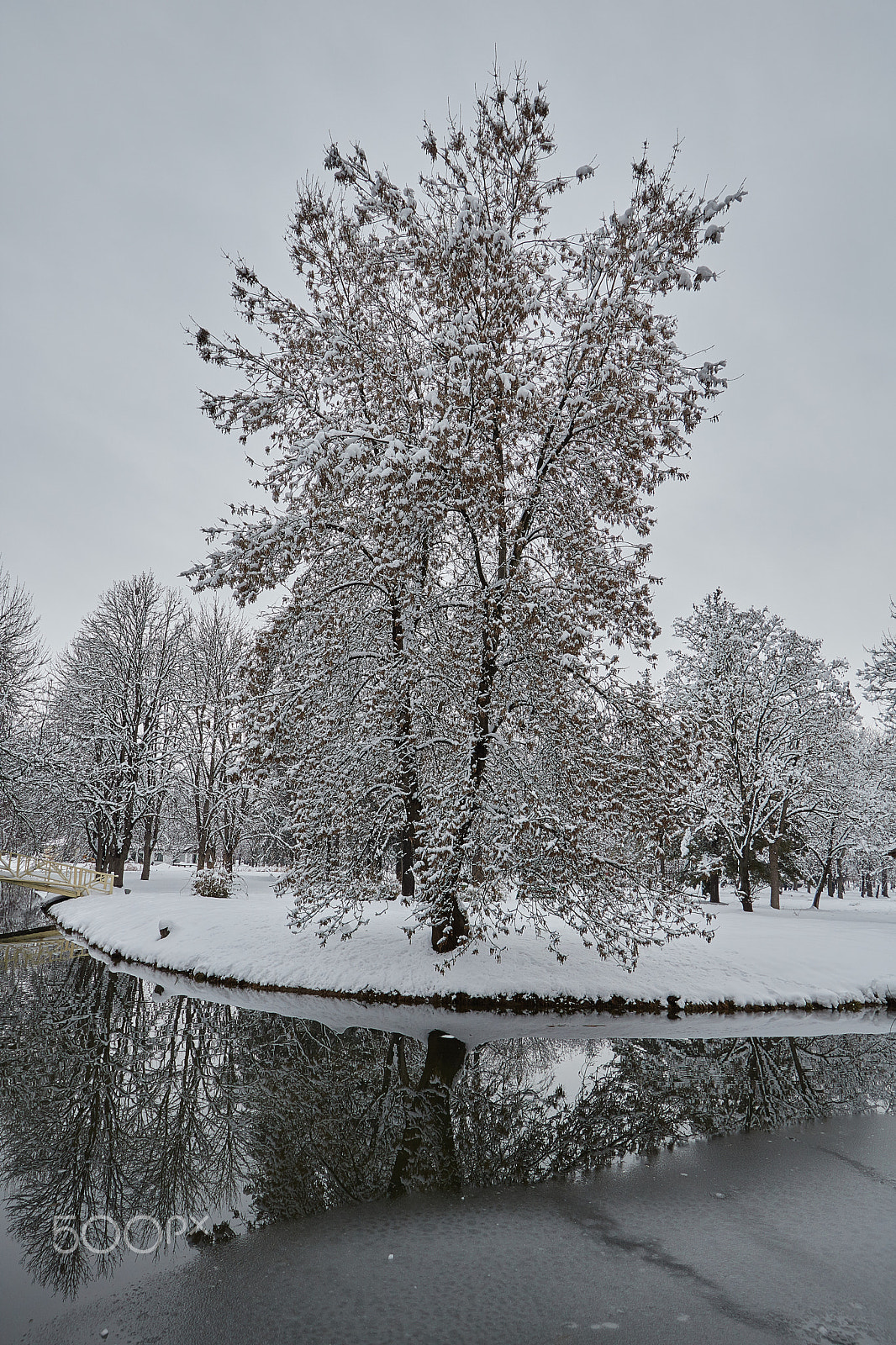 Canon EOS 760D (EOS Rebel T6s / EOS 8000D) sample photo. First snow photography