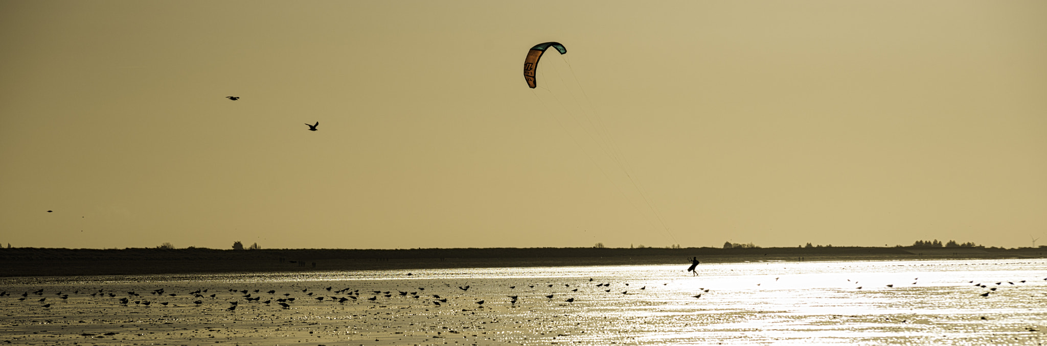 Nikon D750 + Sigma 70-200mm F2.8 EX DG Macro HSM II sample photo. Beach windsurfer photography