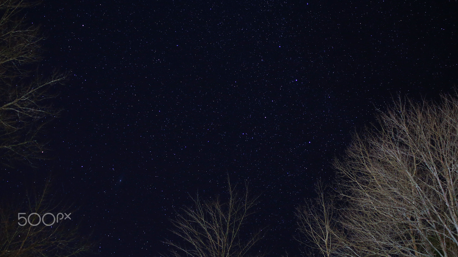 Canon EOS 6D sample photo. Stars in the sky photography