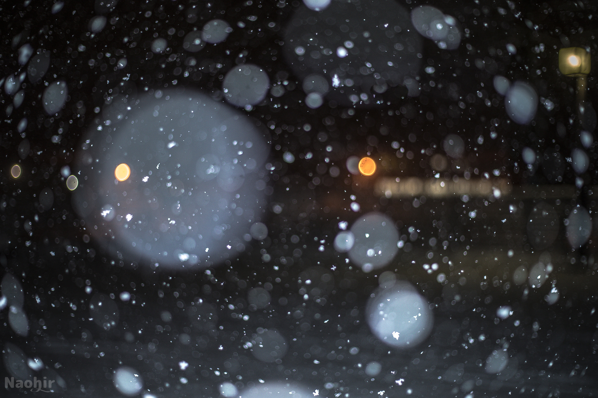 Canon EF 50mm F1.8 STM sample photo. Snow photography