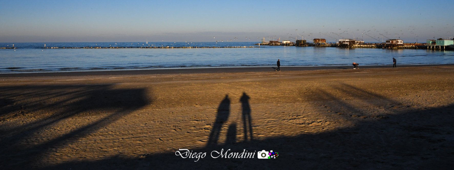 Nikon D5 sample photo. Riunione al mare :) photography